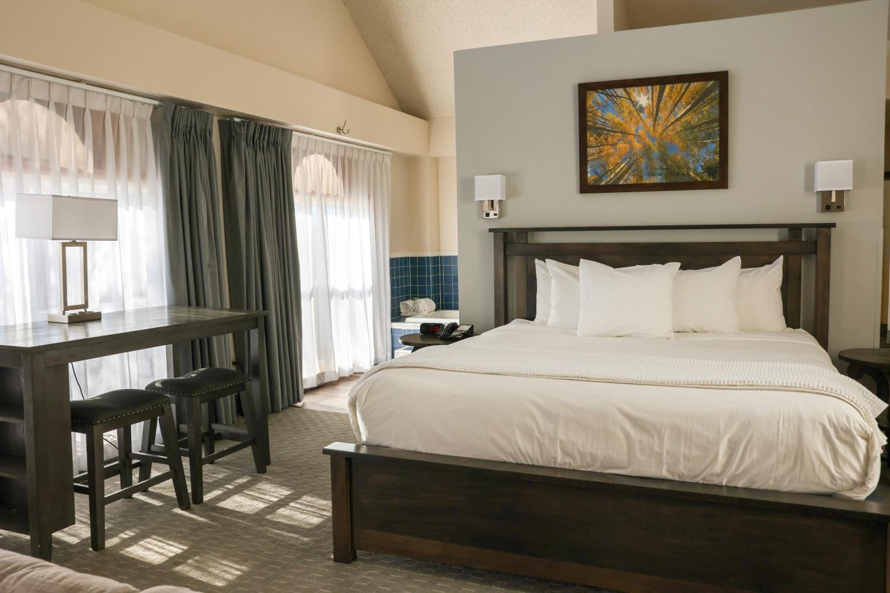 Suite - Photo 1