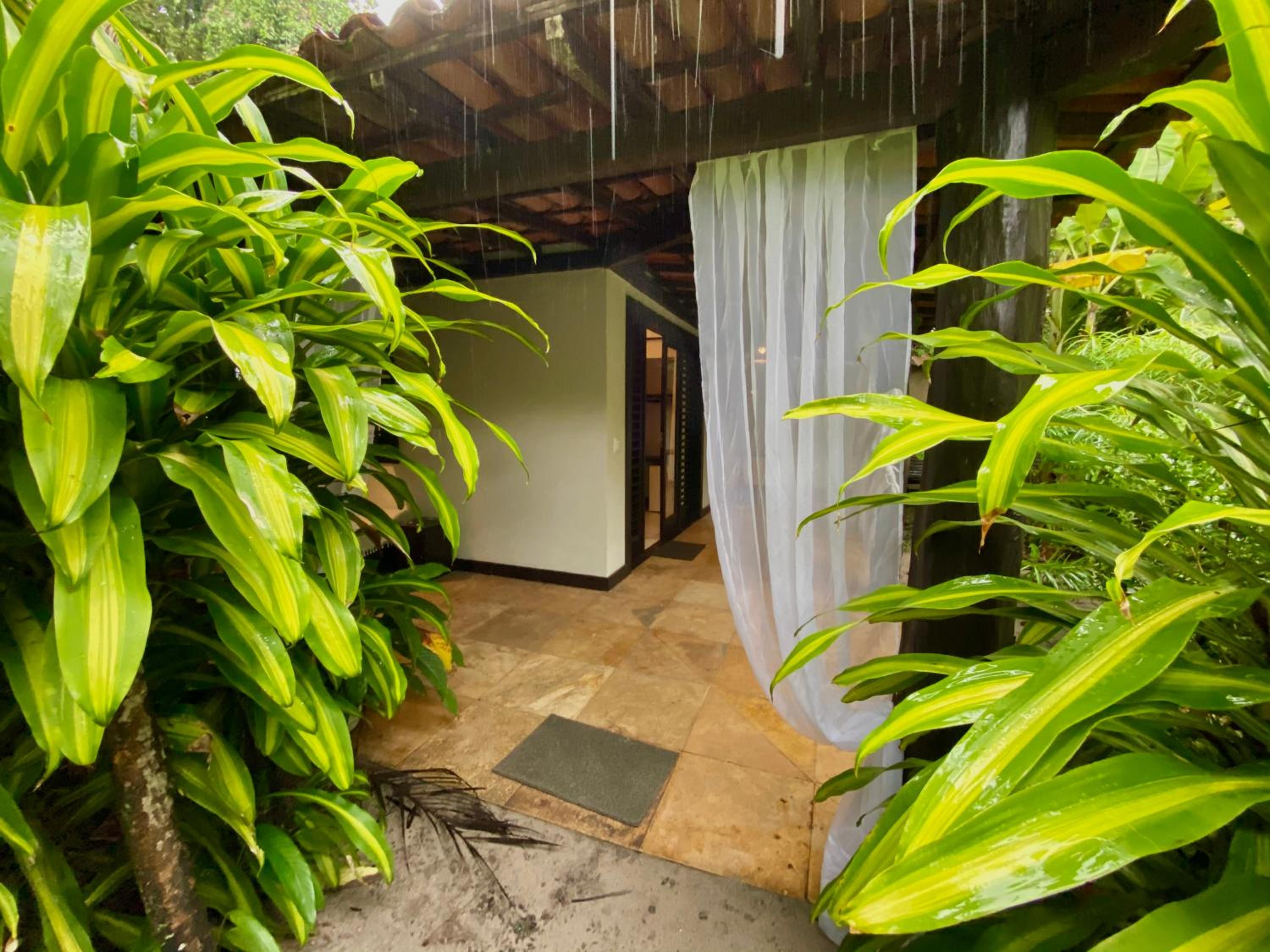 Standard Bungalow photo 3