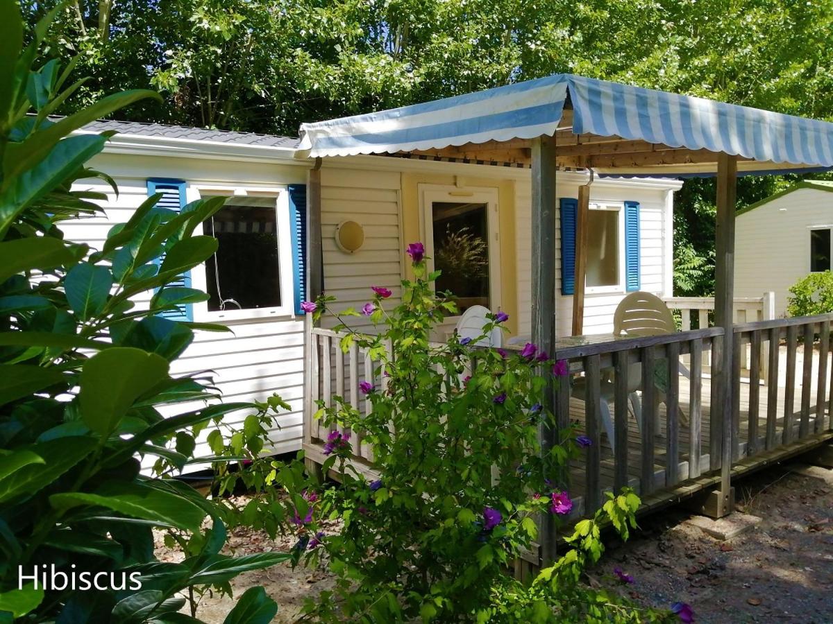 Mobile Home (4 Adults)