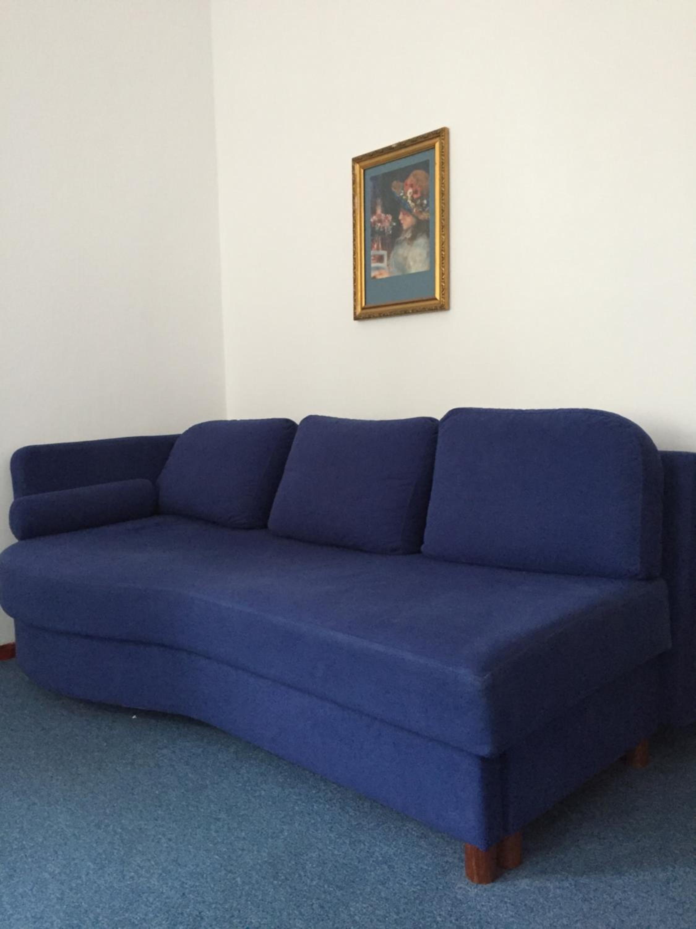 Studio with Sofa Bed photo 2