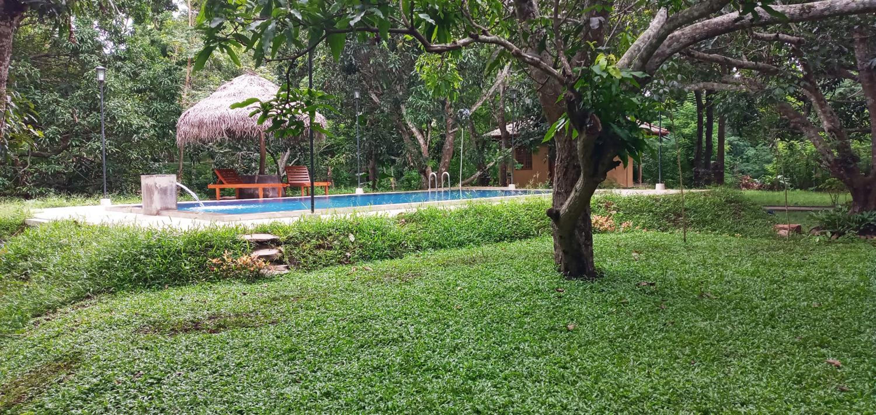 Family Room with Garden View photo 3