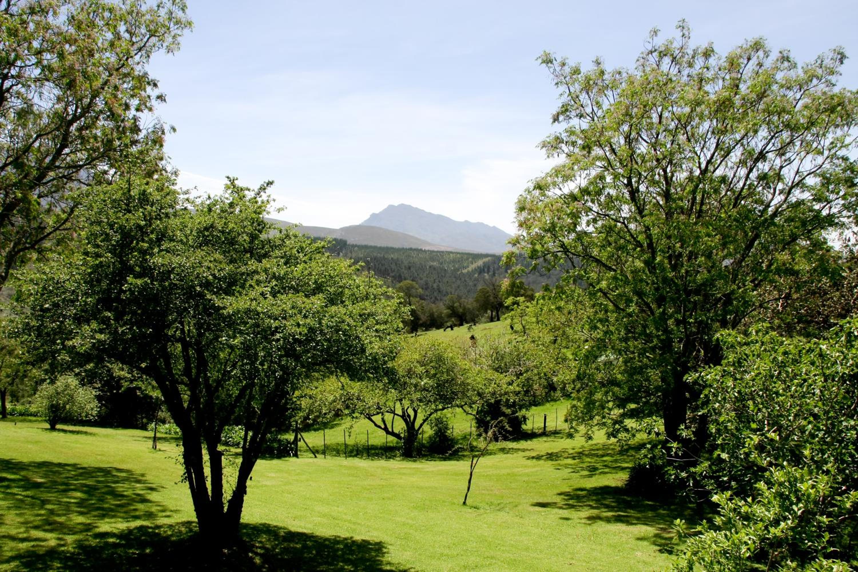 Chalet photo 2