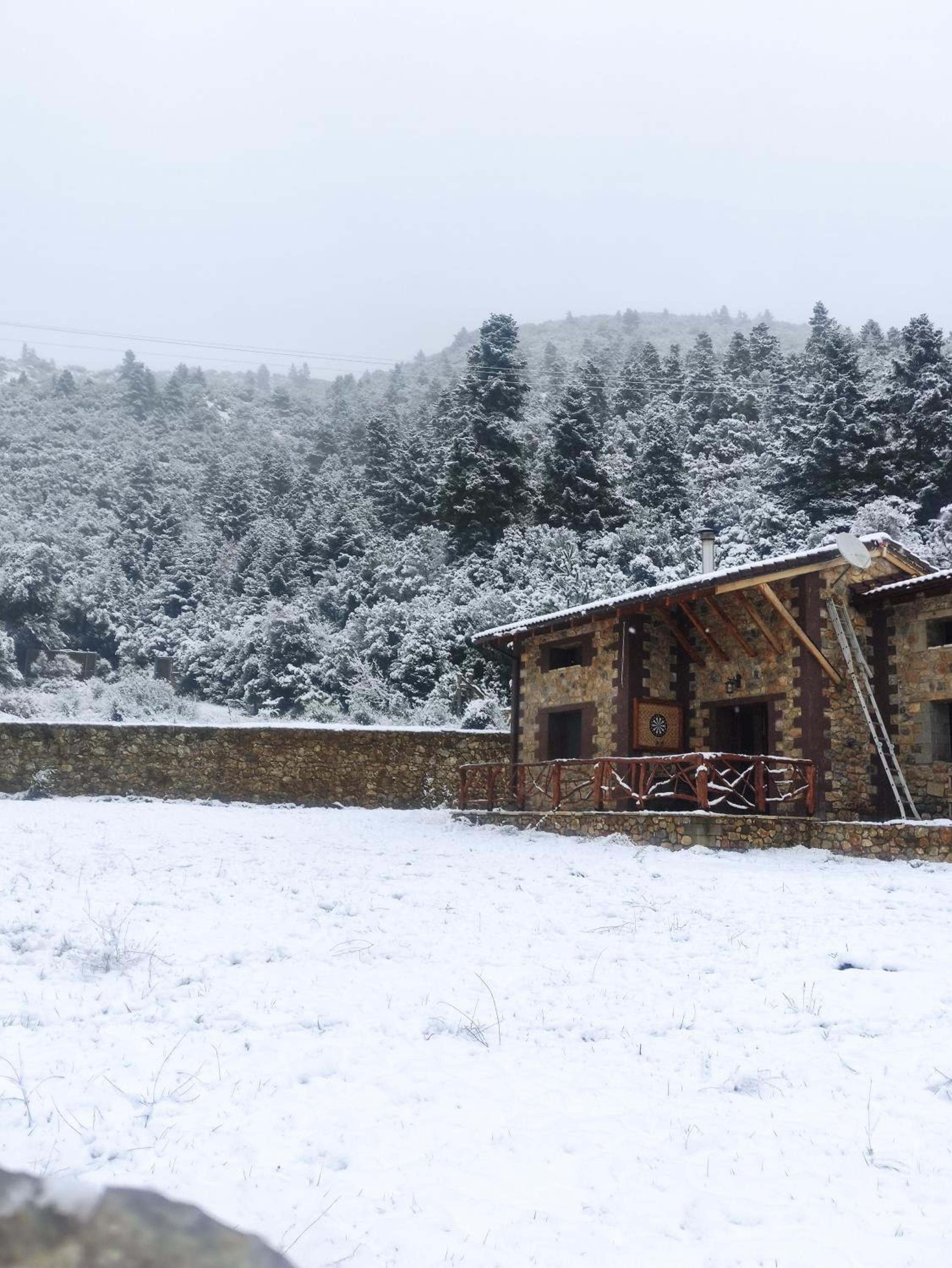 Superior Chalet photo 2