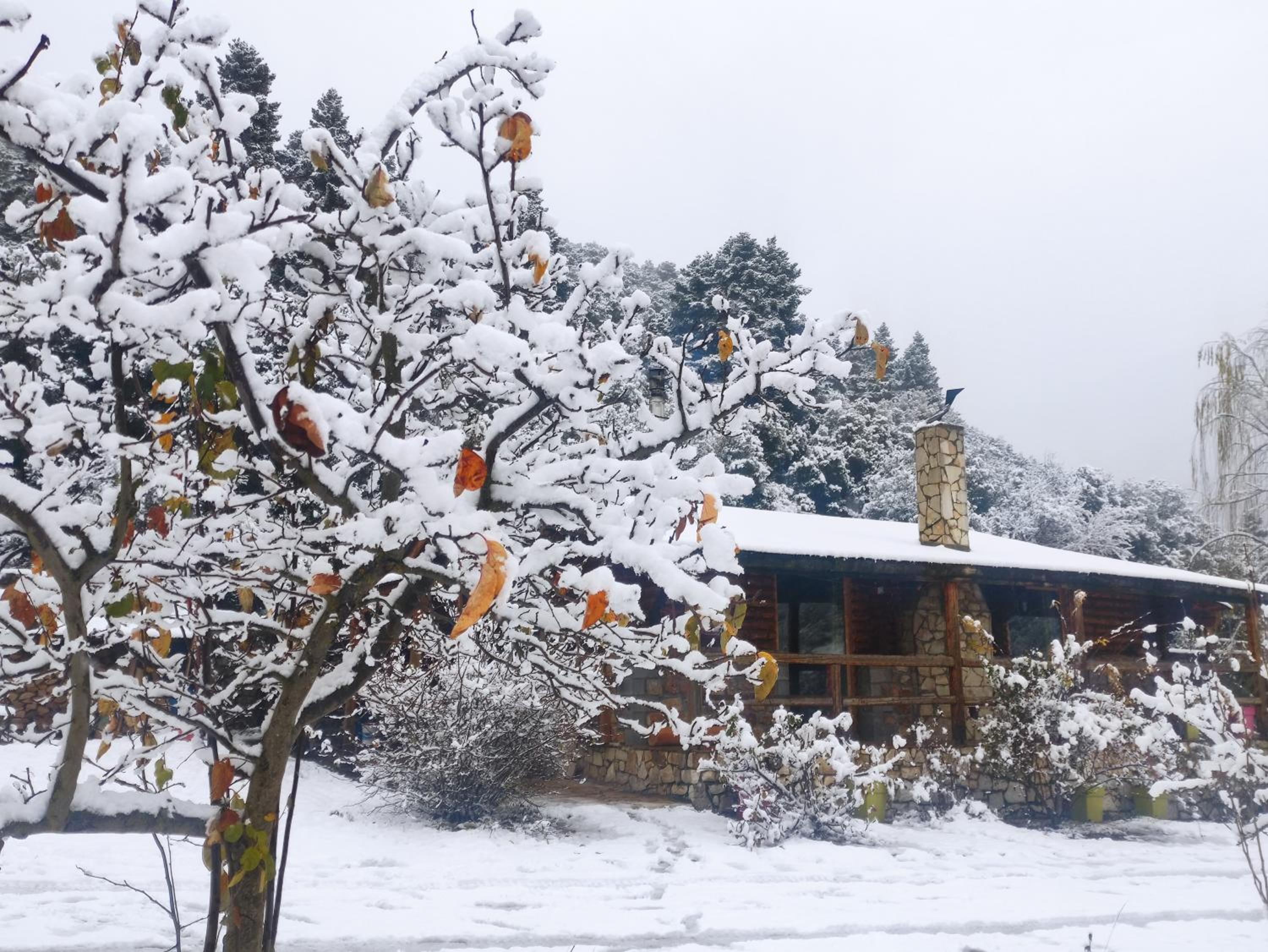 Superior Chalet photo 3