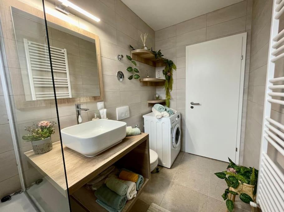 One-Bedroom Apartment - Photo 13