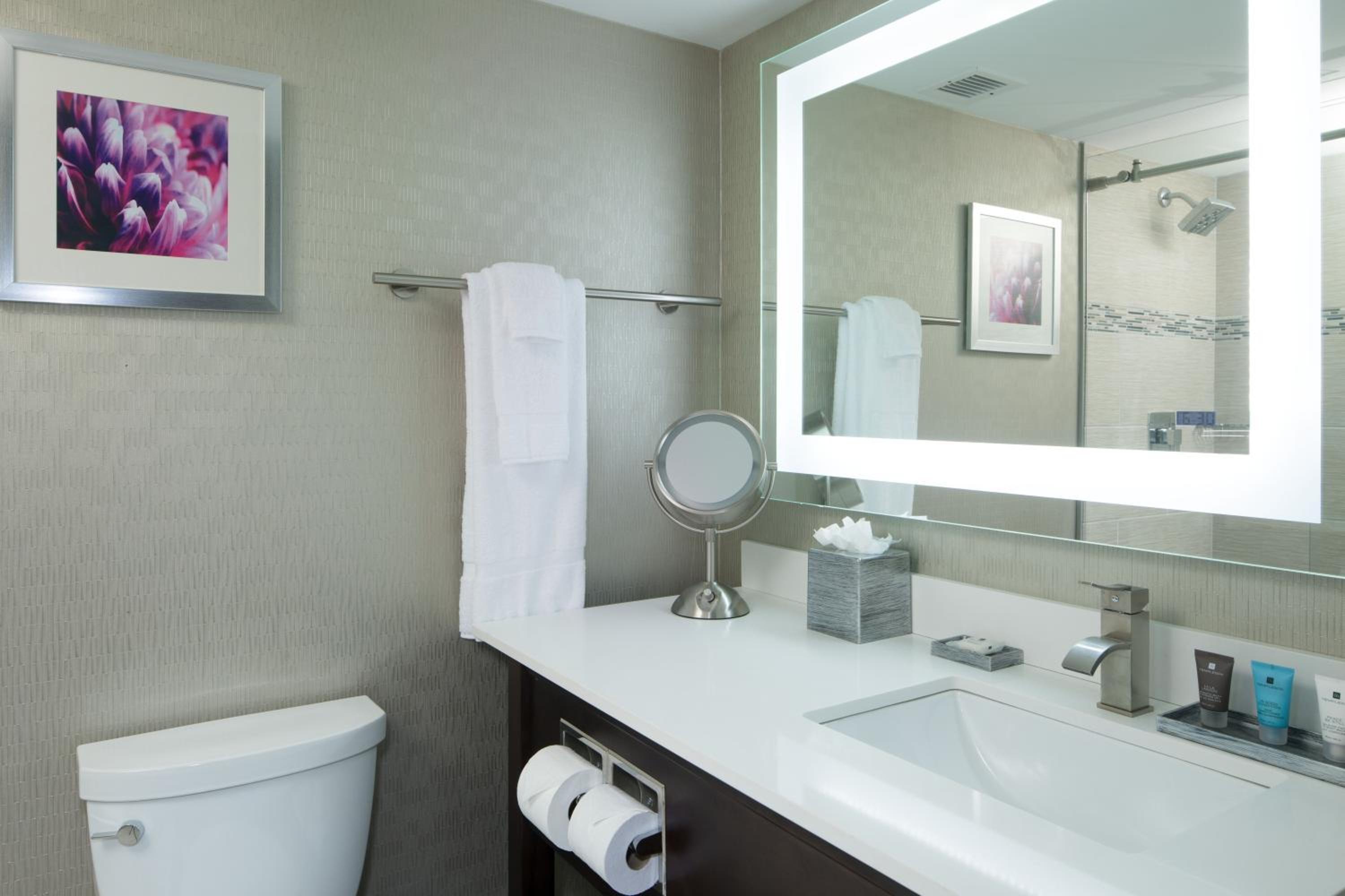 Standard King Room - Photo 12