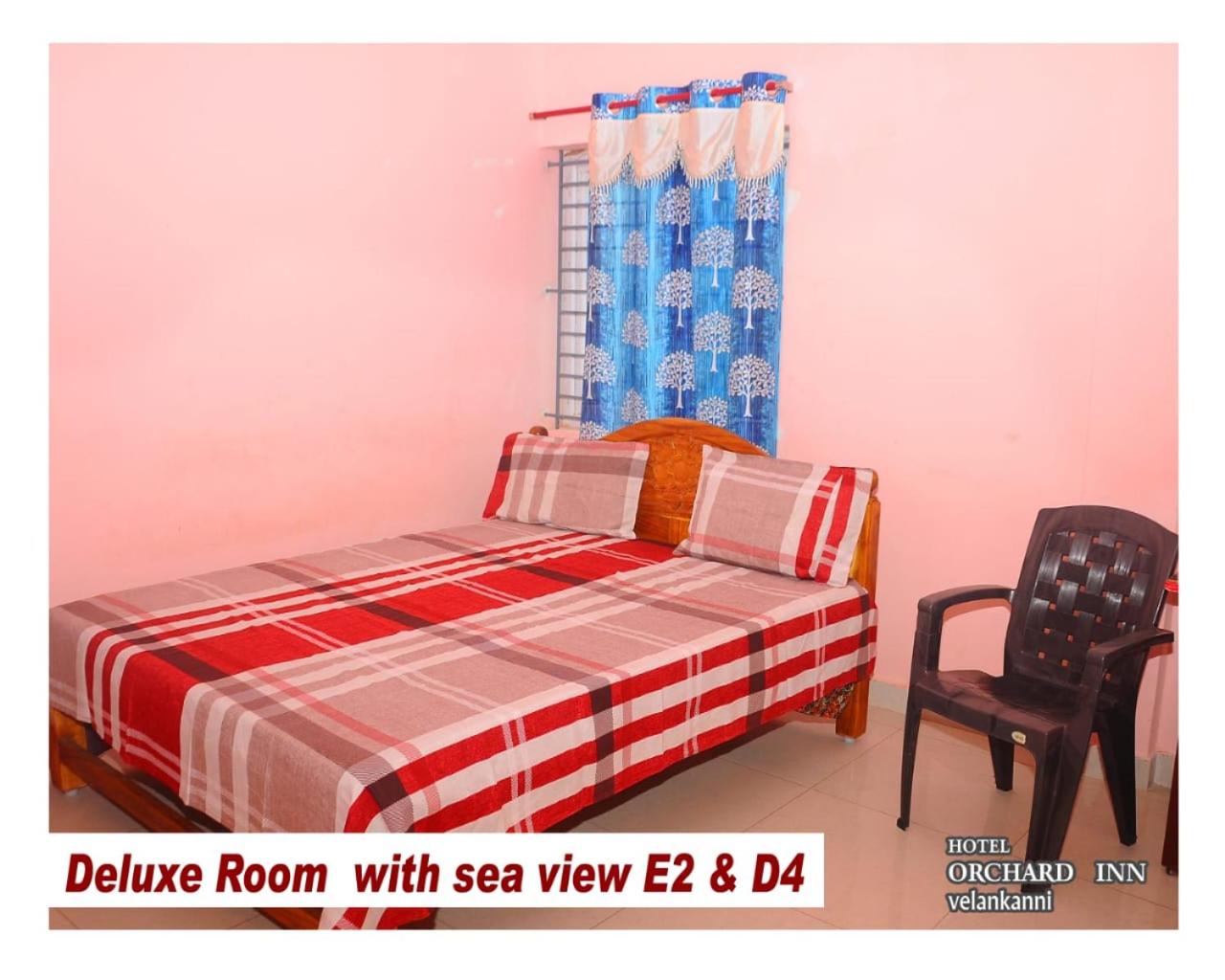 Deluxe Twin Room - Photo 1