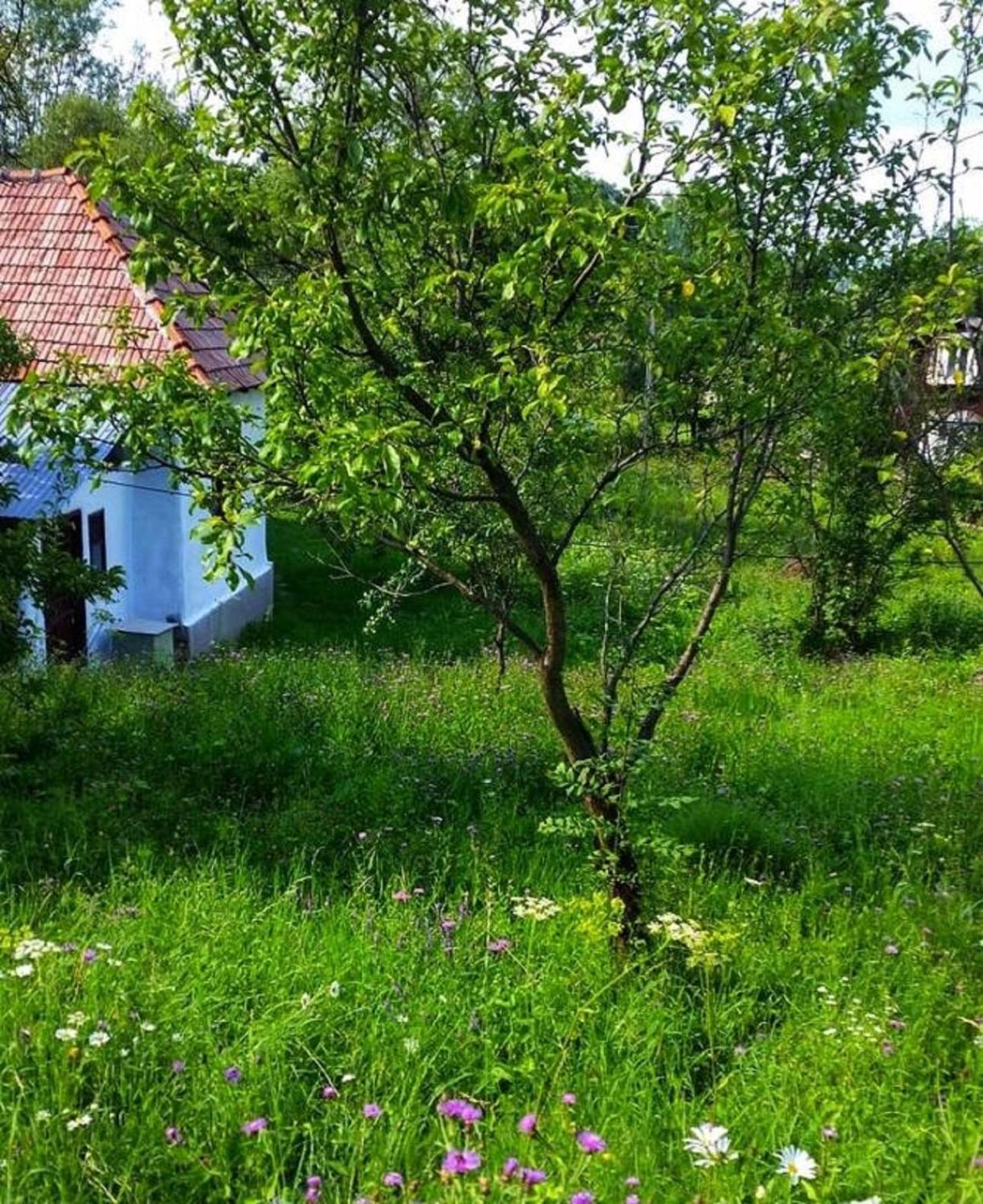 Vacation Home - Photo 21