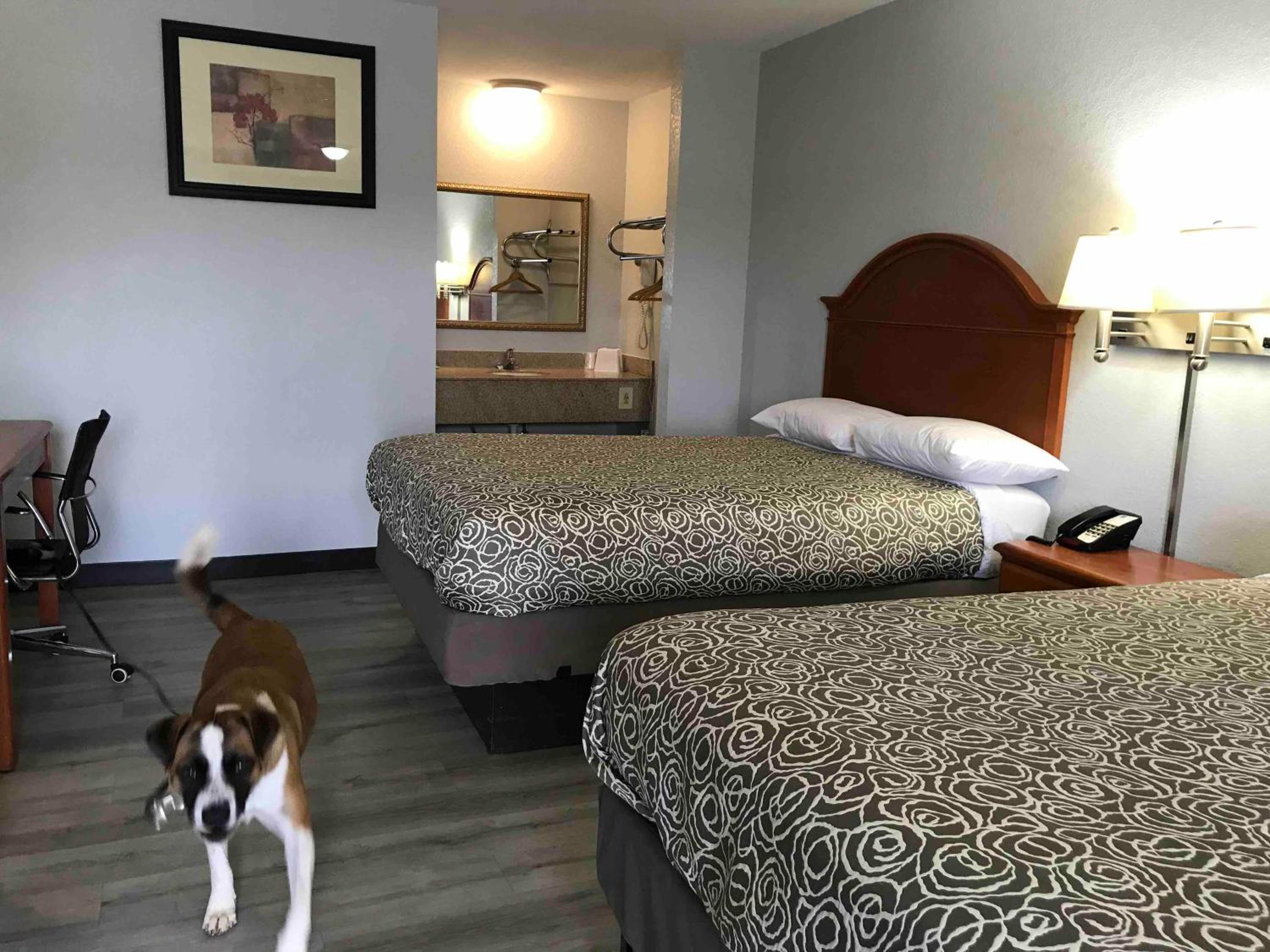 Double Room with Two Double Beds - Non-Smoking - Photo 2