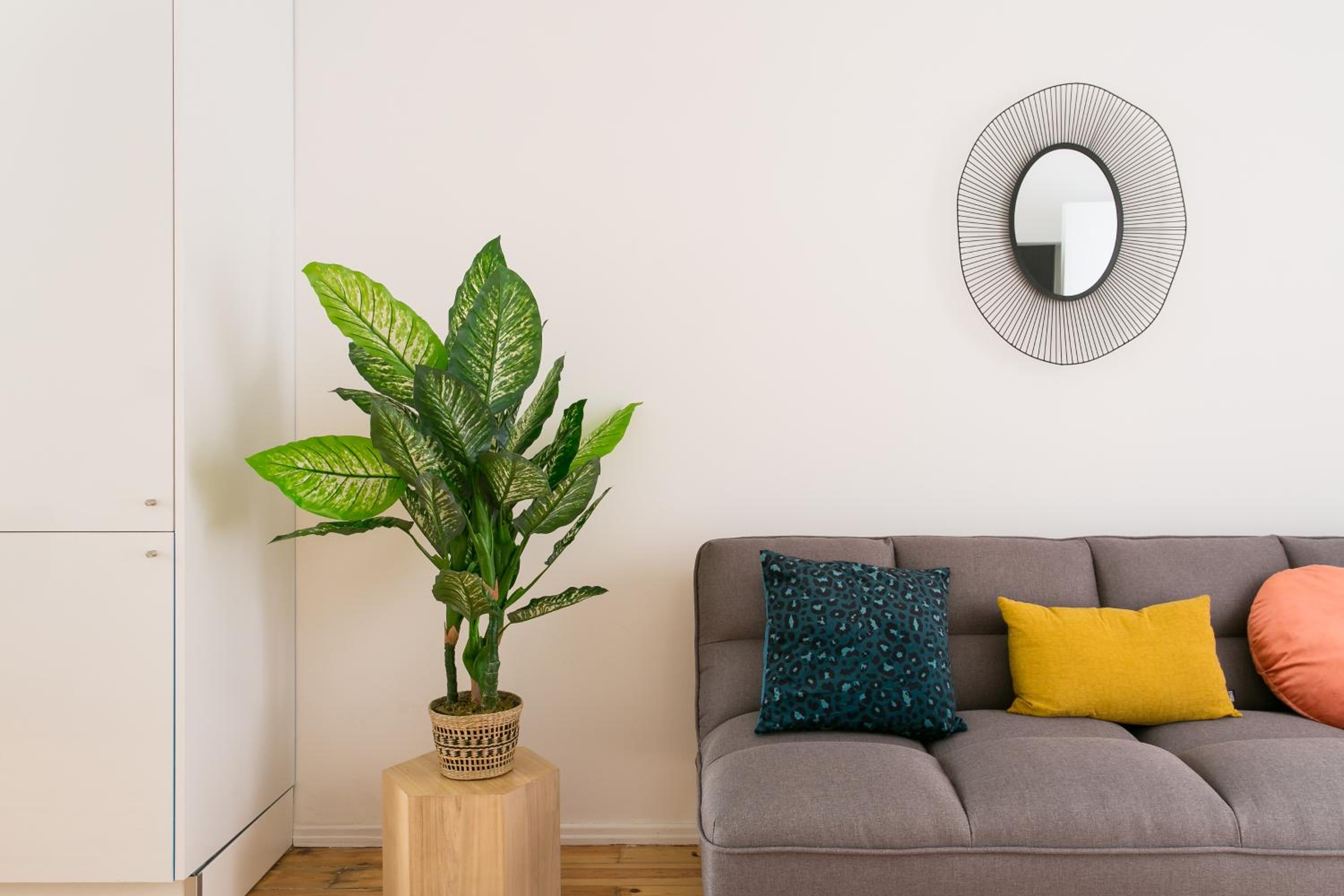 Apartment - Photo 12