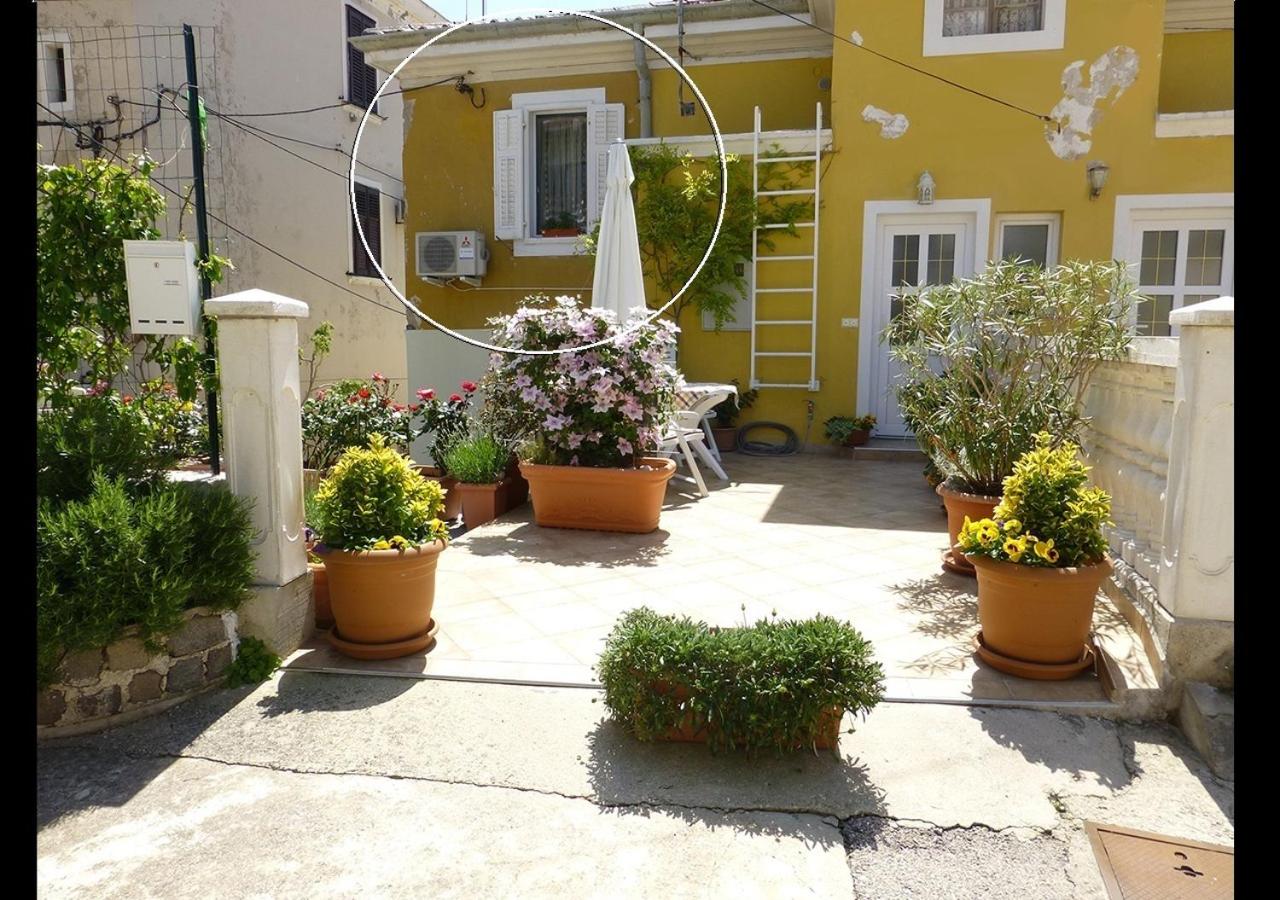 Studio with Terrace photo 2