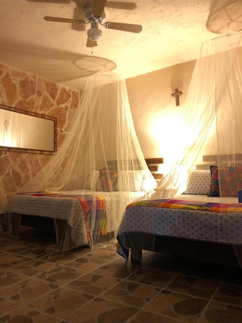Twin Room with Terrace photo 3