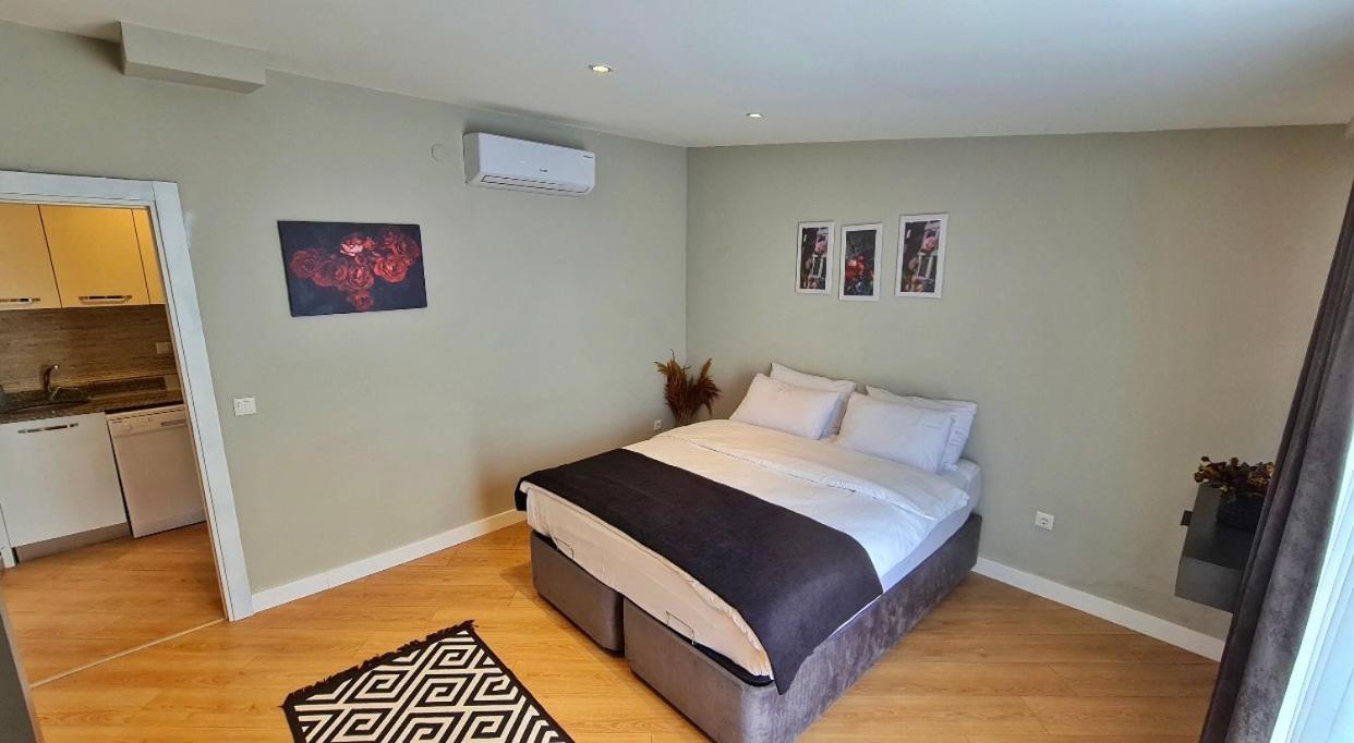 Suite with Terrace