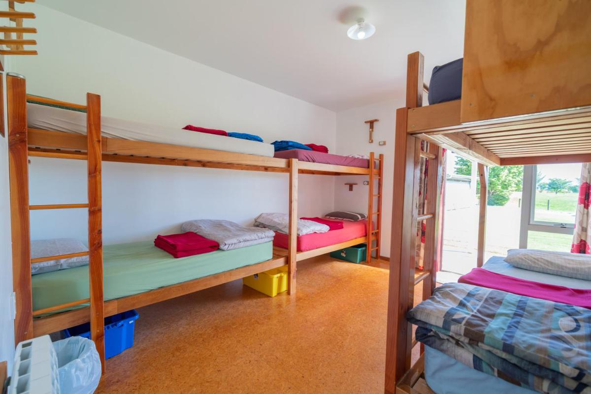 Single Bed in Mixed Dormitory Room photo 3