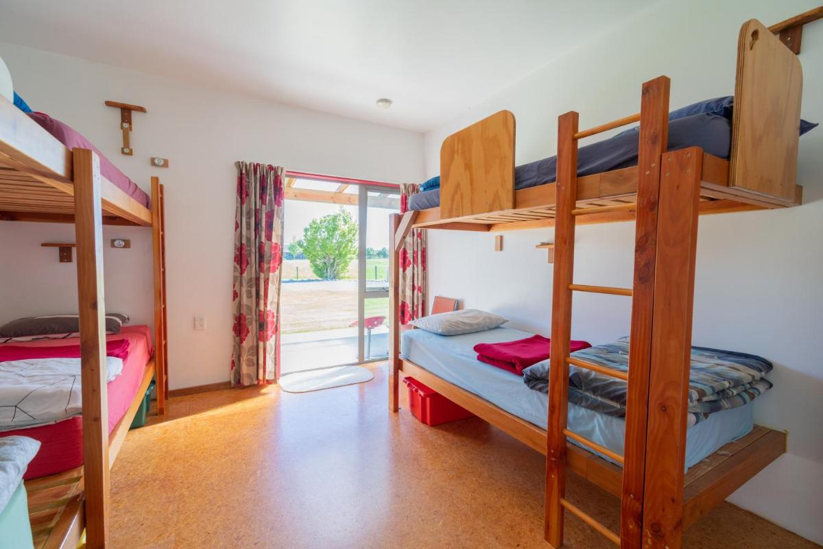 Single Bed in Mixed Dormitory Room photo 1