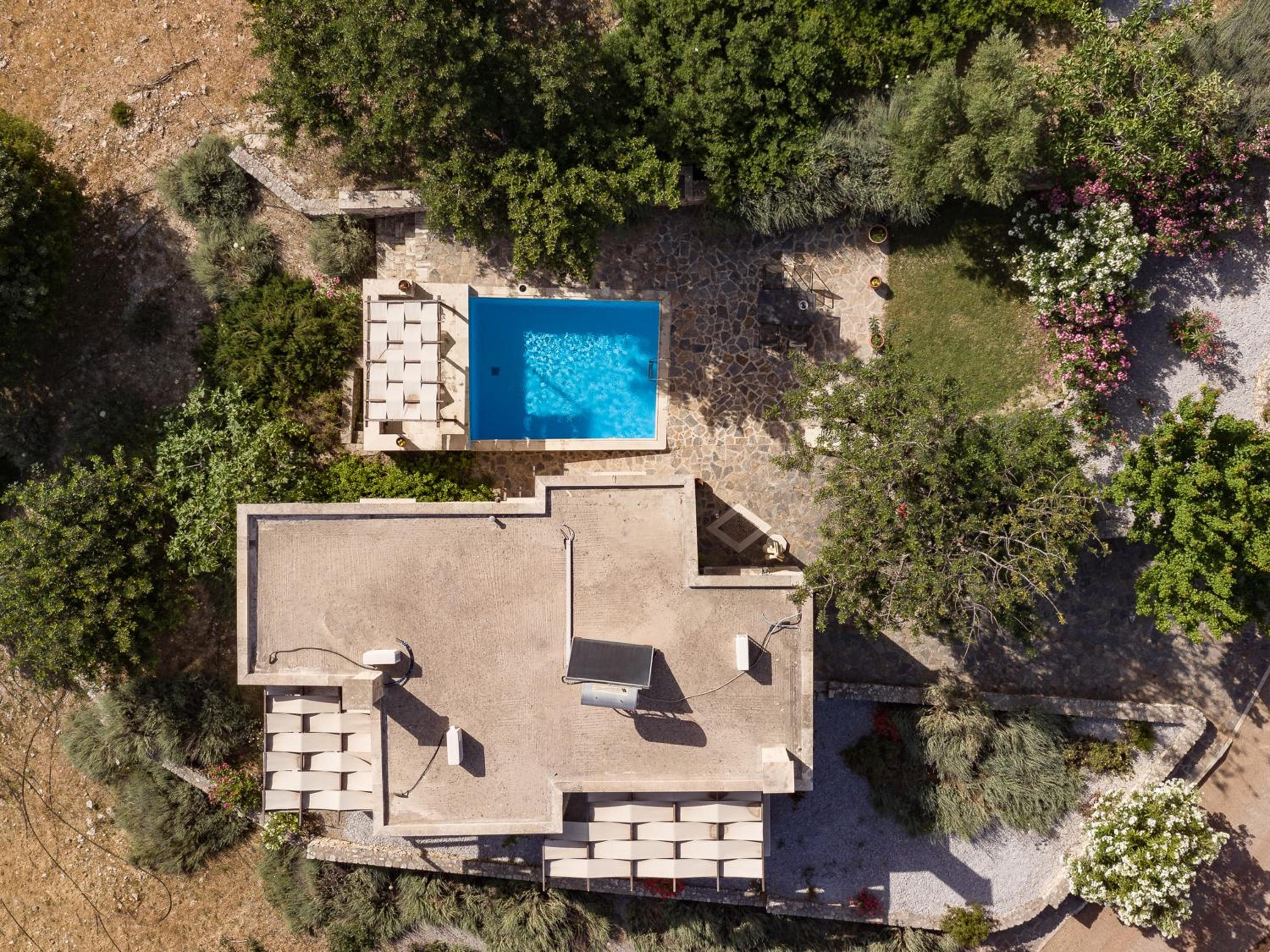 Standard Villa photo 3