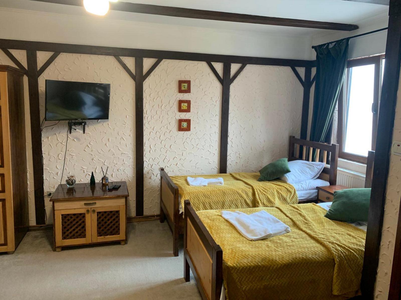 Triple Room with Mountain View photo 2