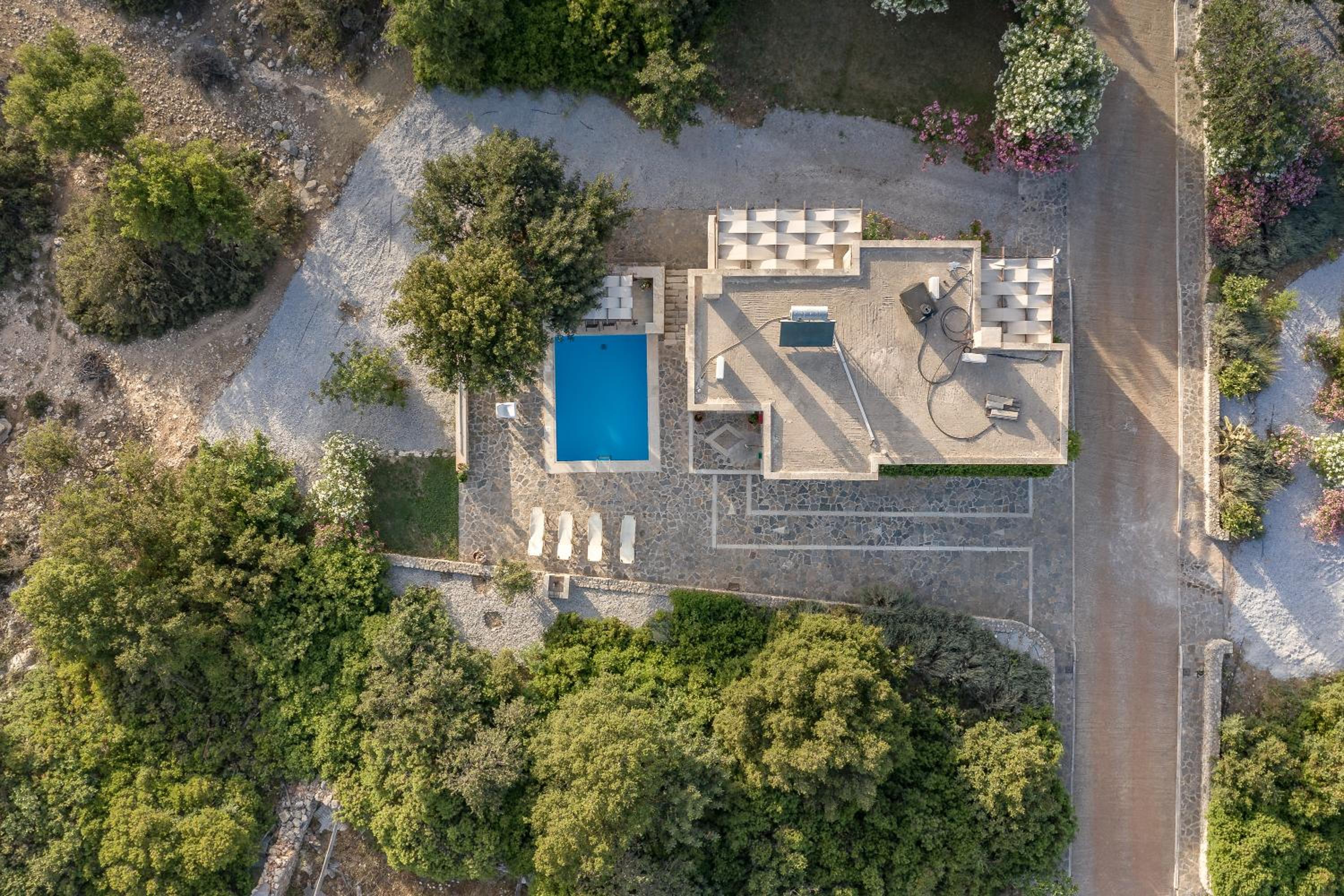 Superior Villa photo 3