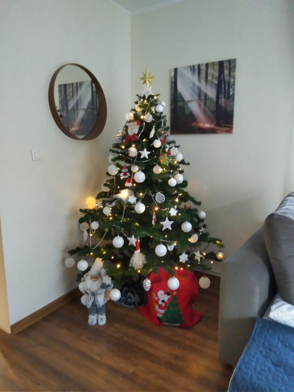 One-Bedroom House - Photo 16