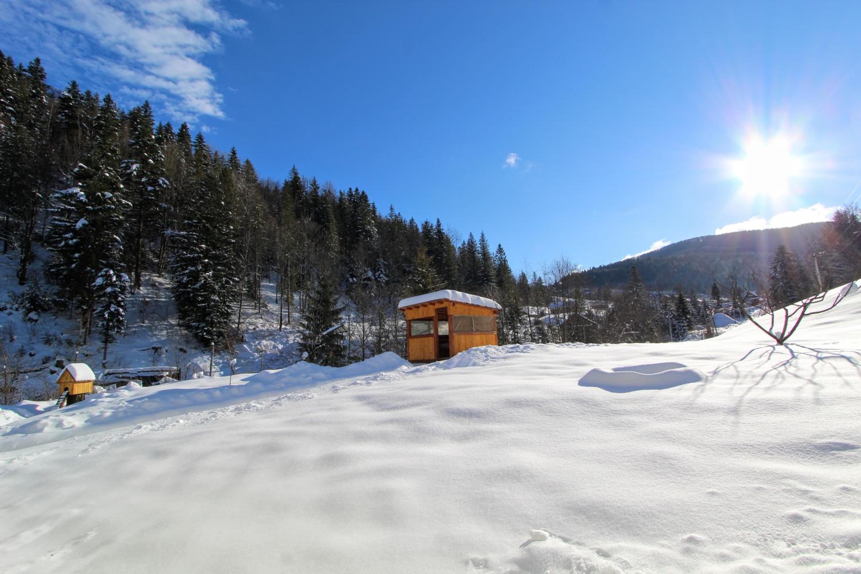 Vacation Home photo 3