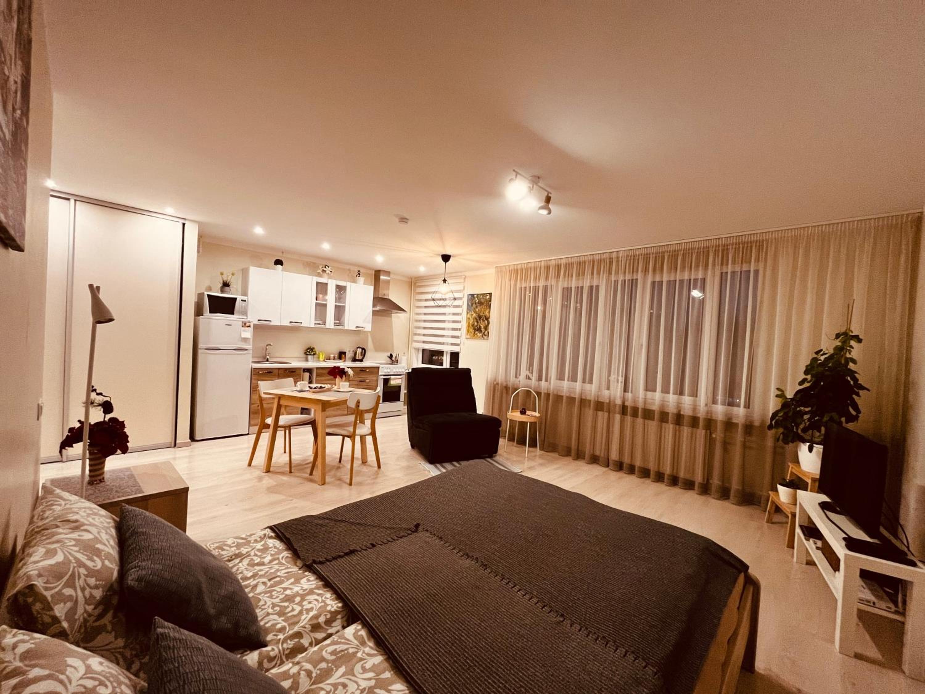 Studio Apartment
