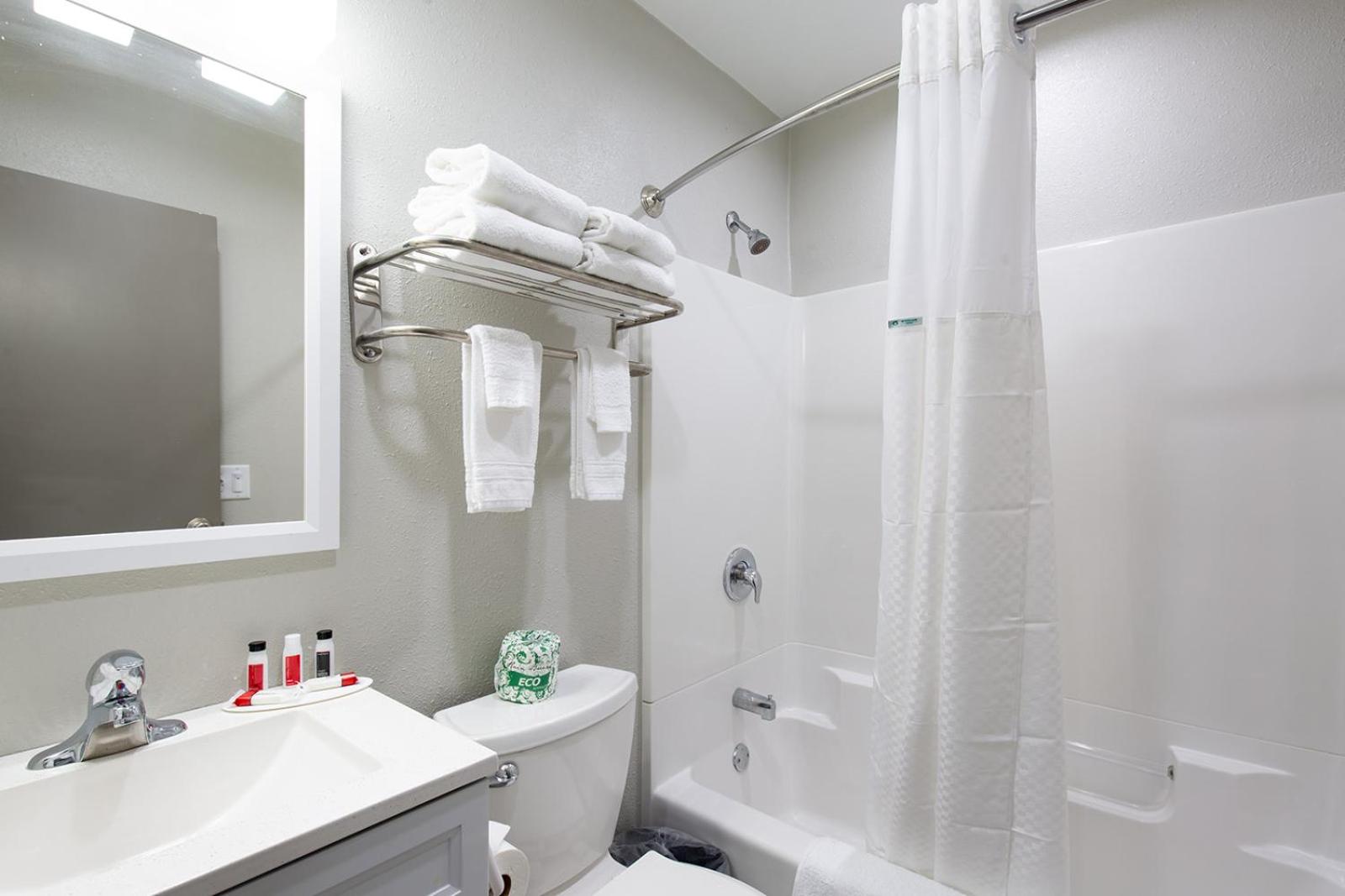 One-Bedroom Queen Suite - Non-Smoking - Photo 5