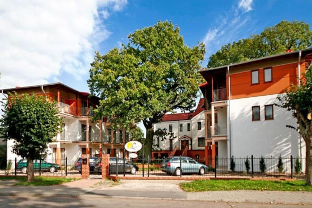 Double or Twin Room with Terrace photo 2