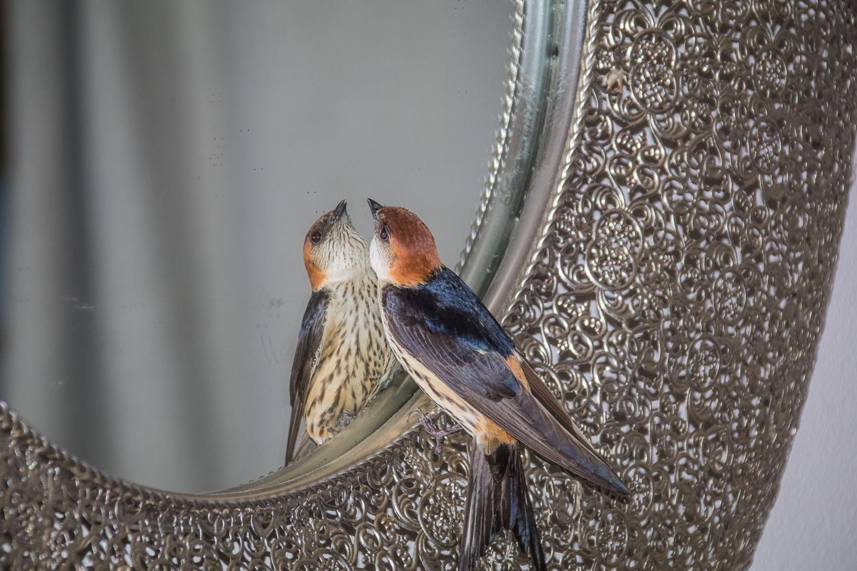Cottage - Photo 12