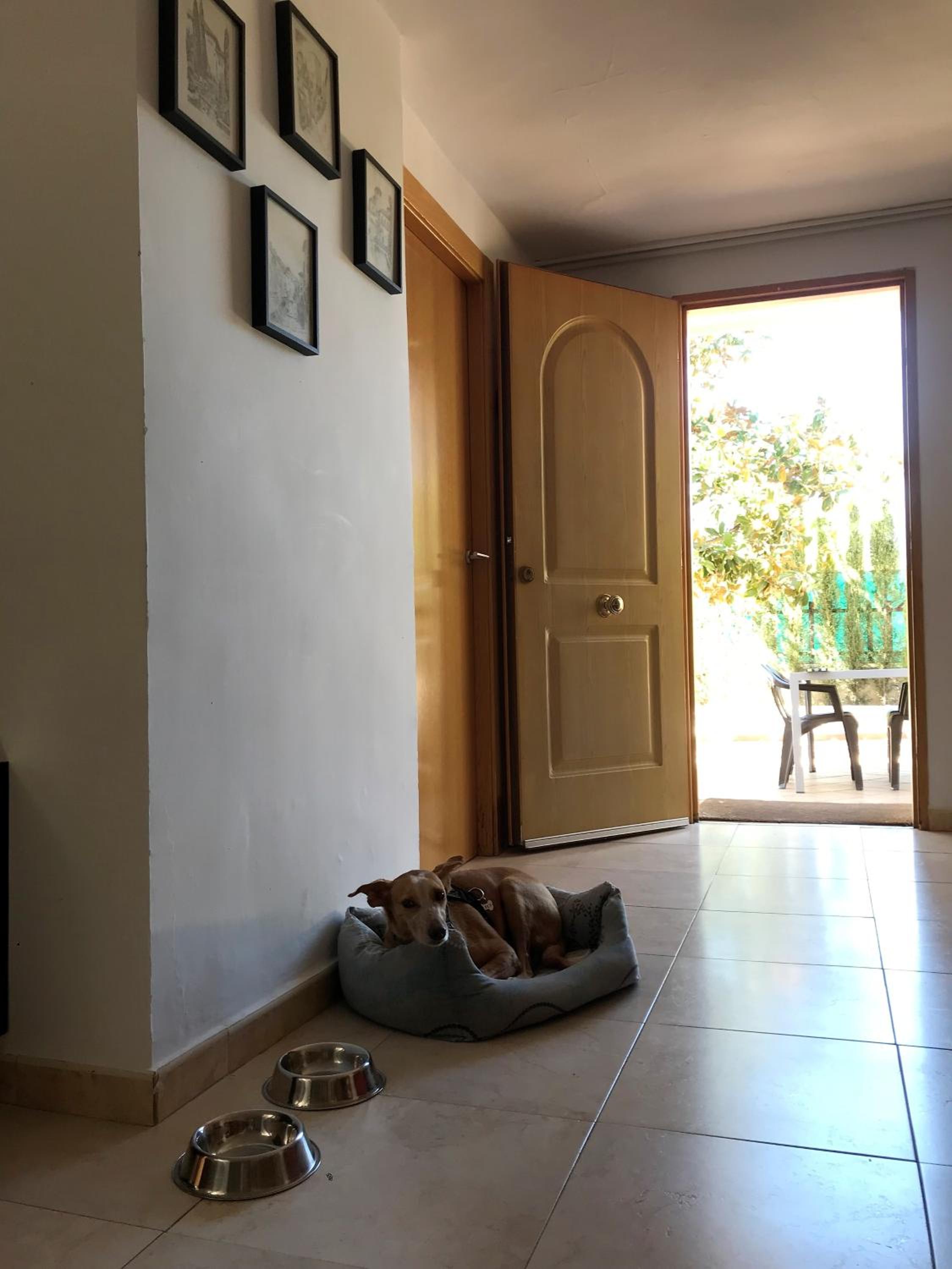 Five-Bedroom House photo 2