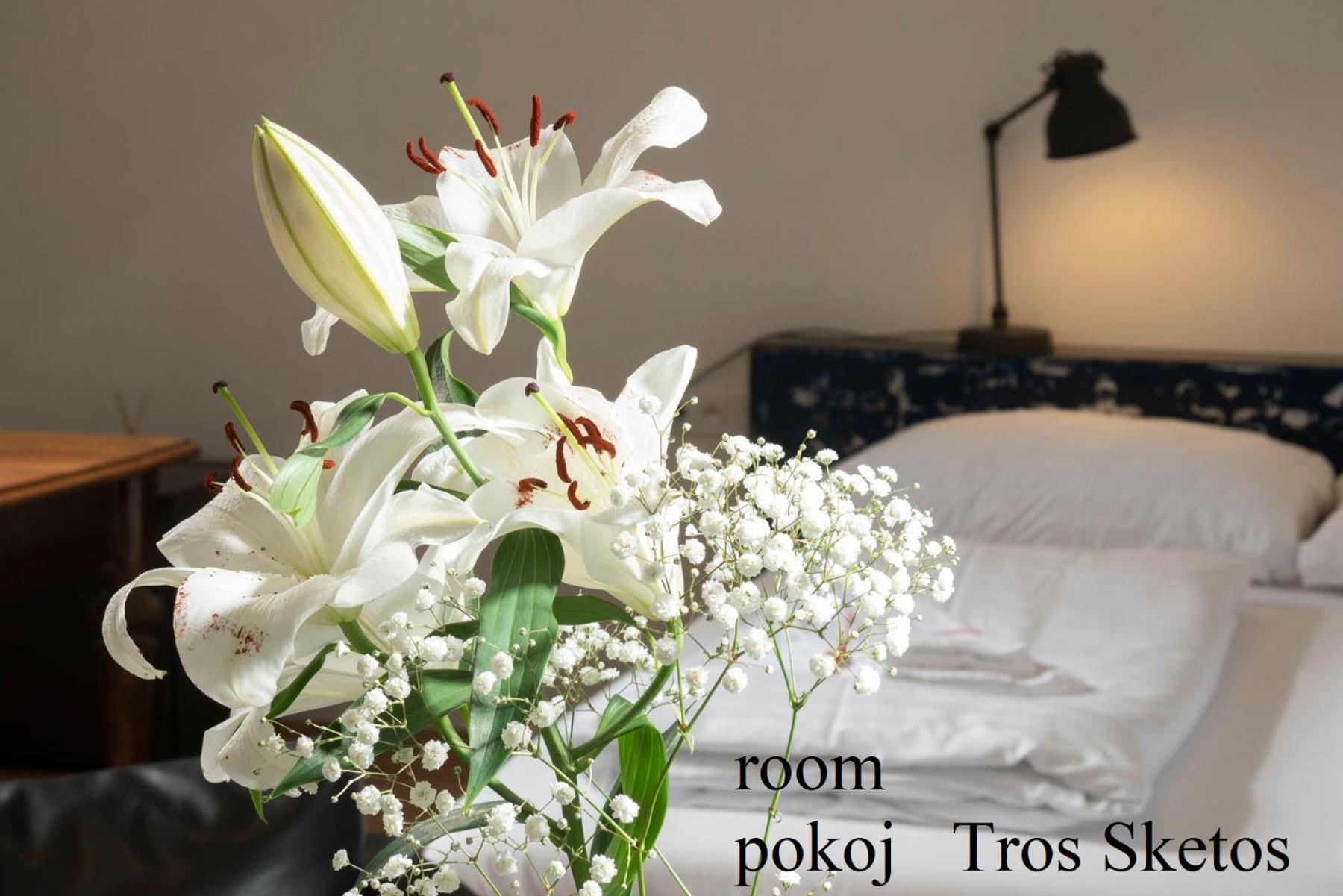 Deluxe Double Room - Photo 9