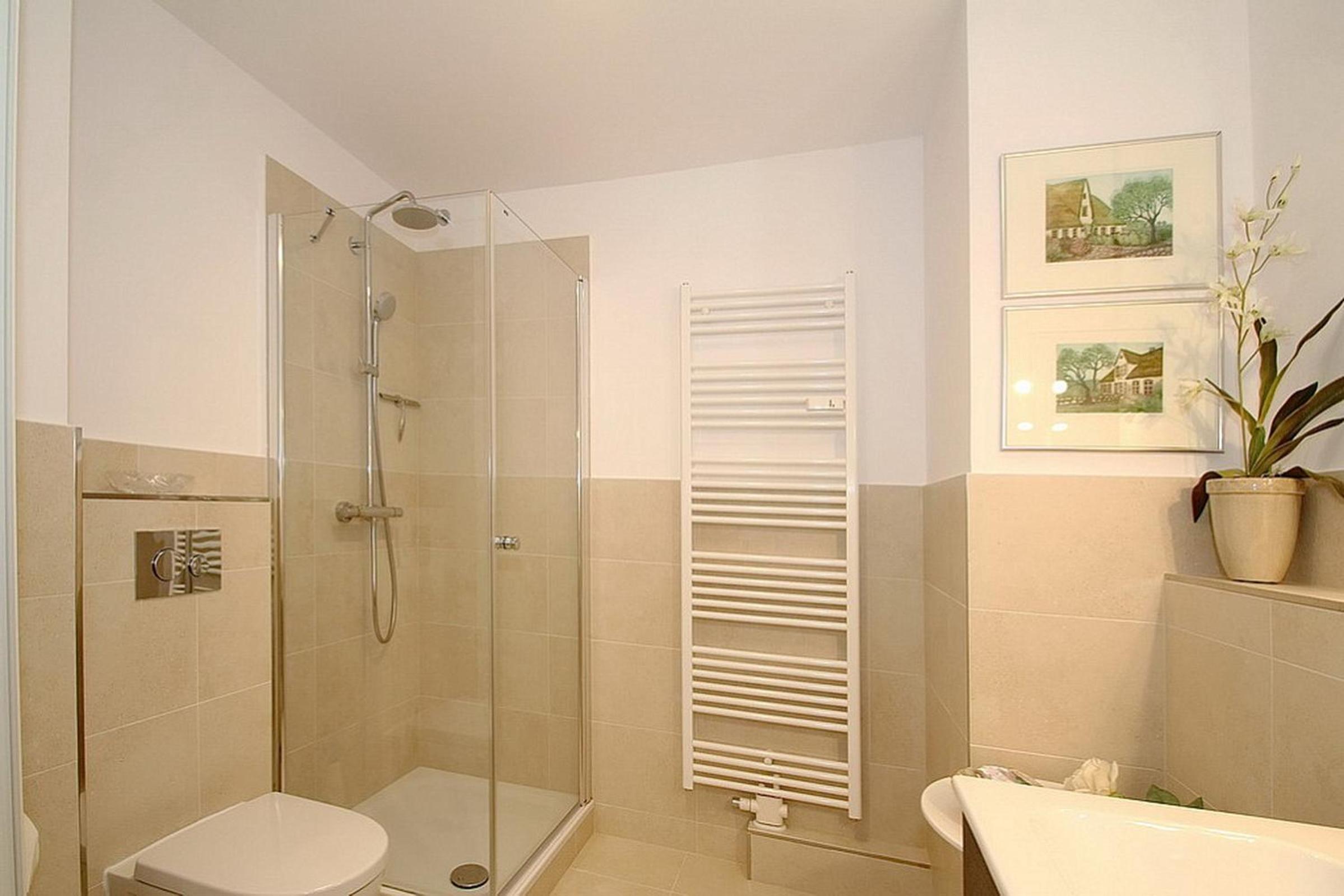 Apartment with Terrace photo 3