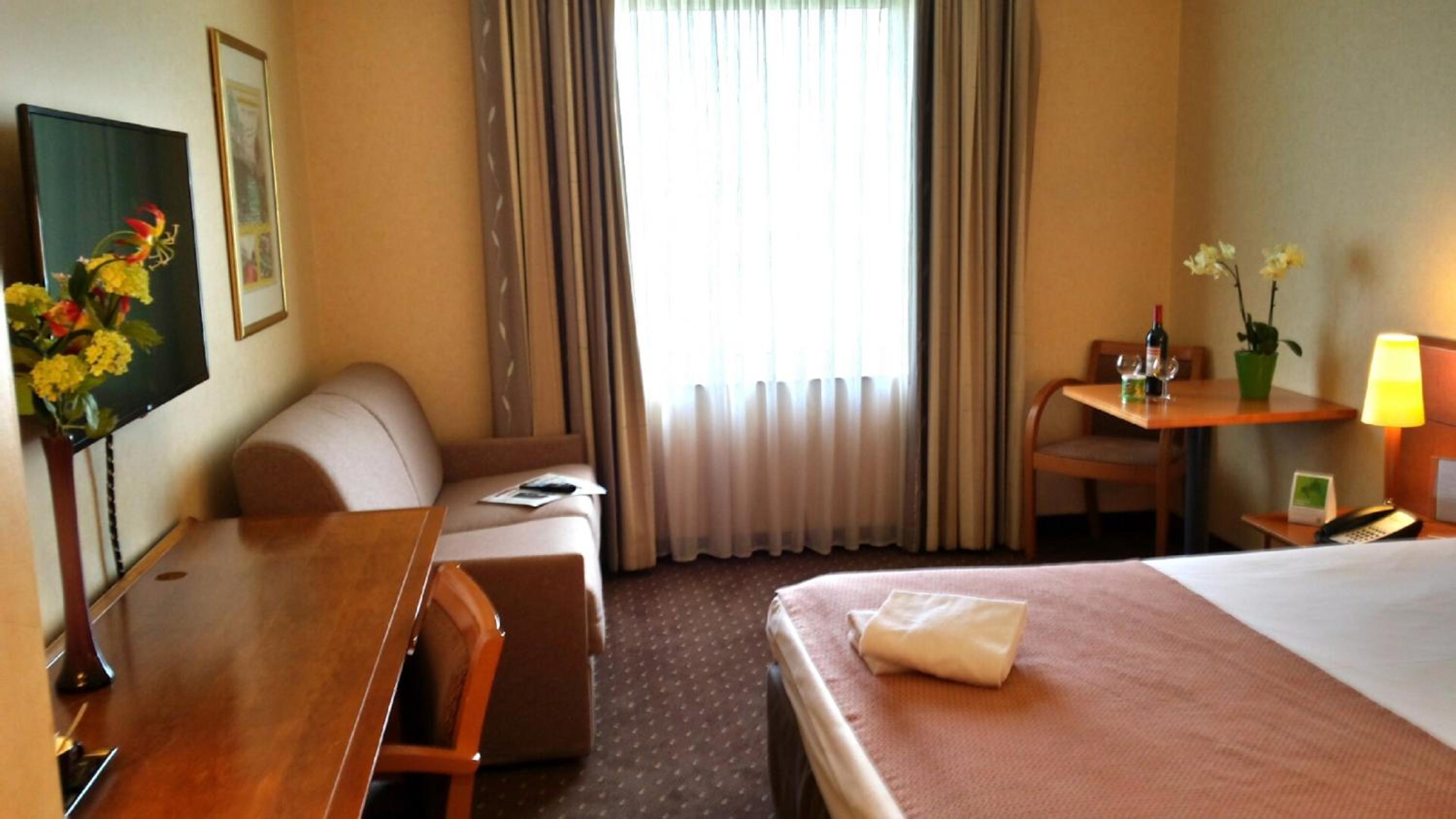 Standard Double Room with Sofa Bed thumbnail 6