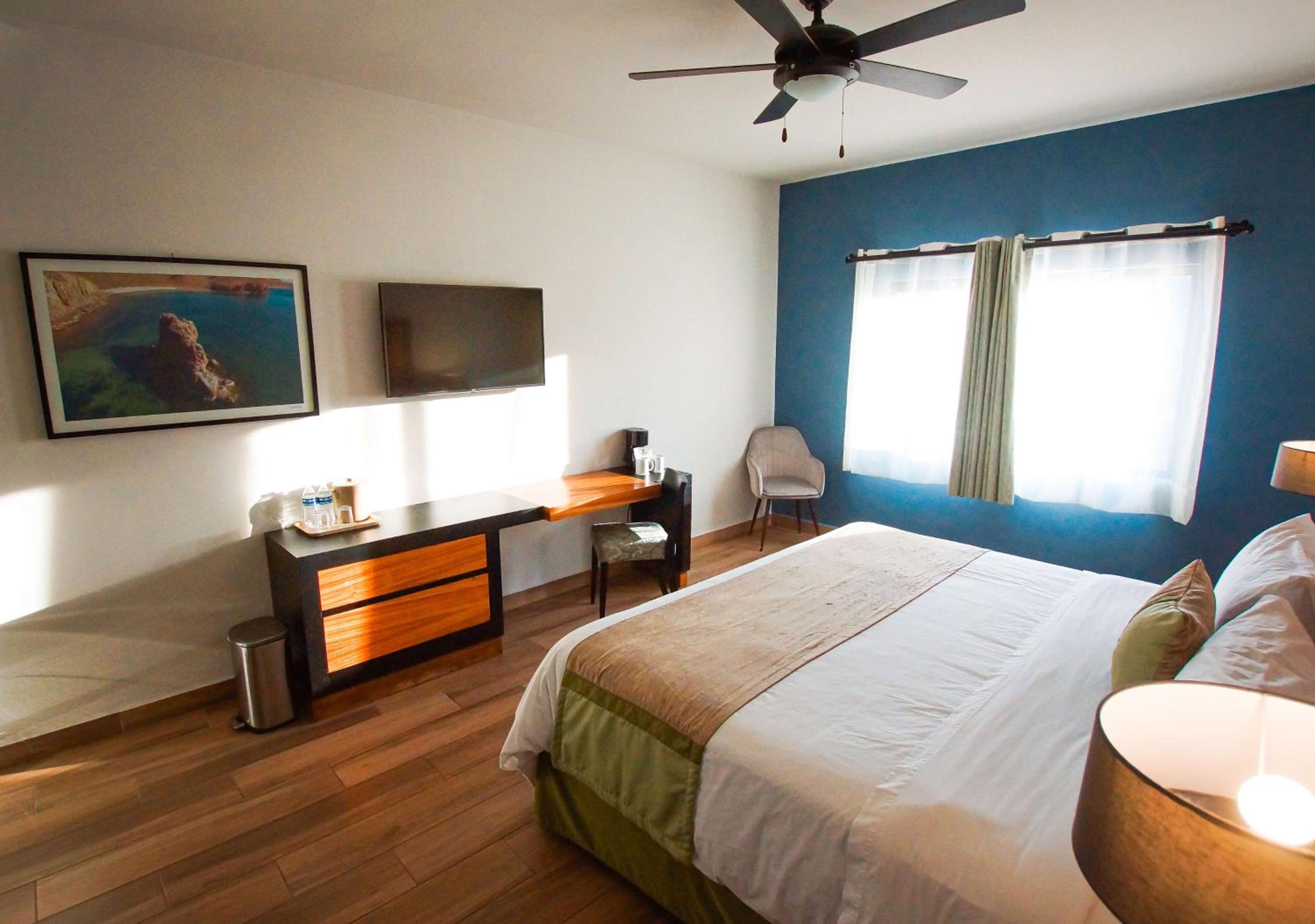 King Room - Photo 8