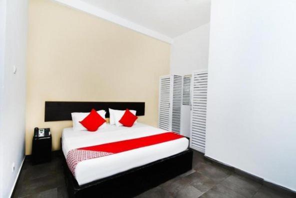 King Room photo 1