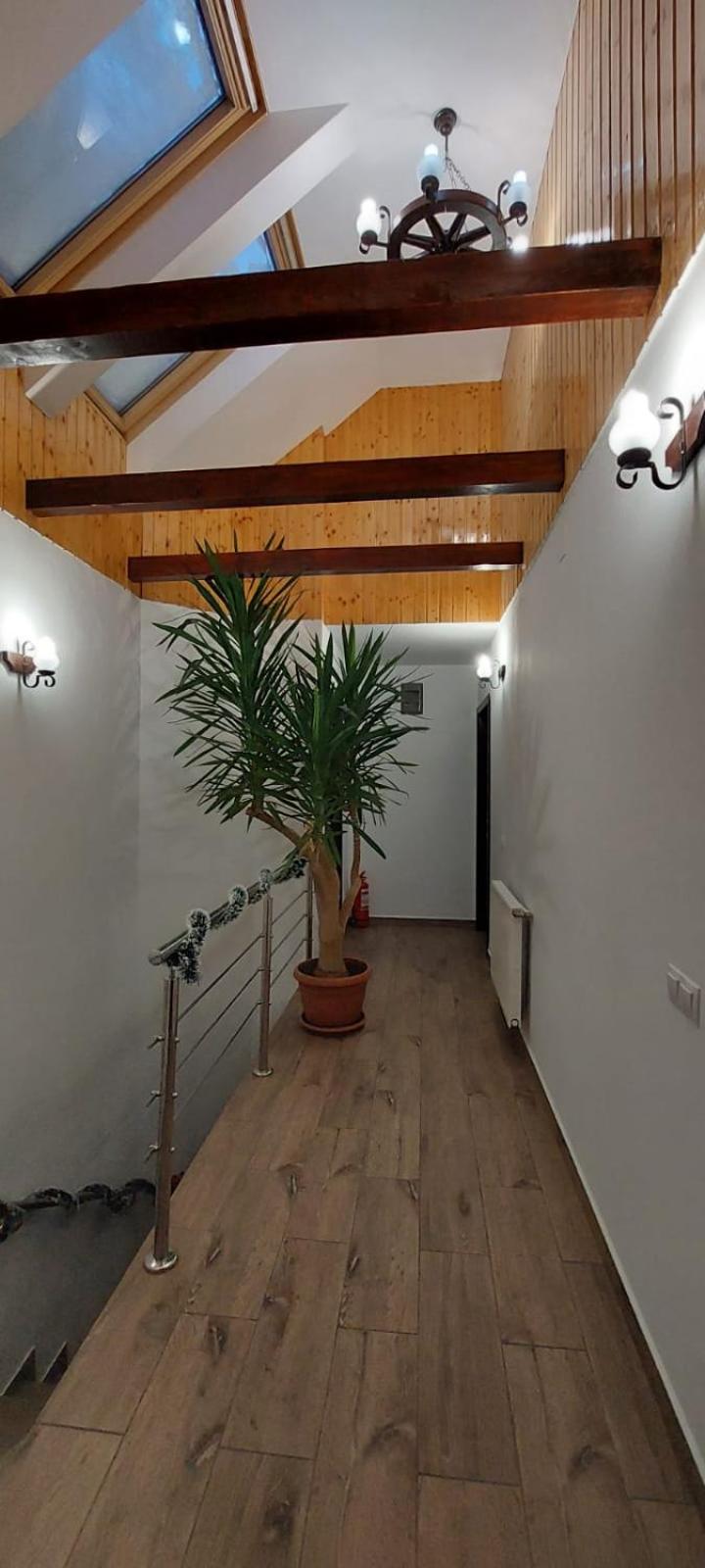 Villa photo 1