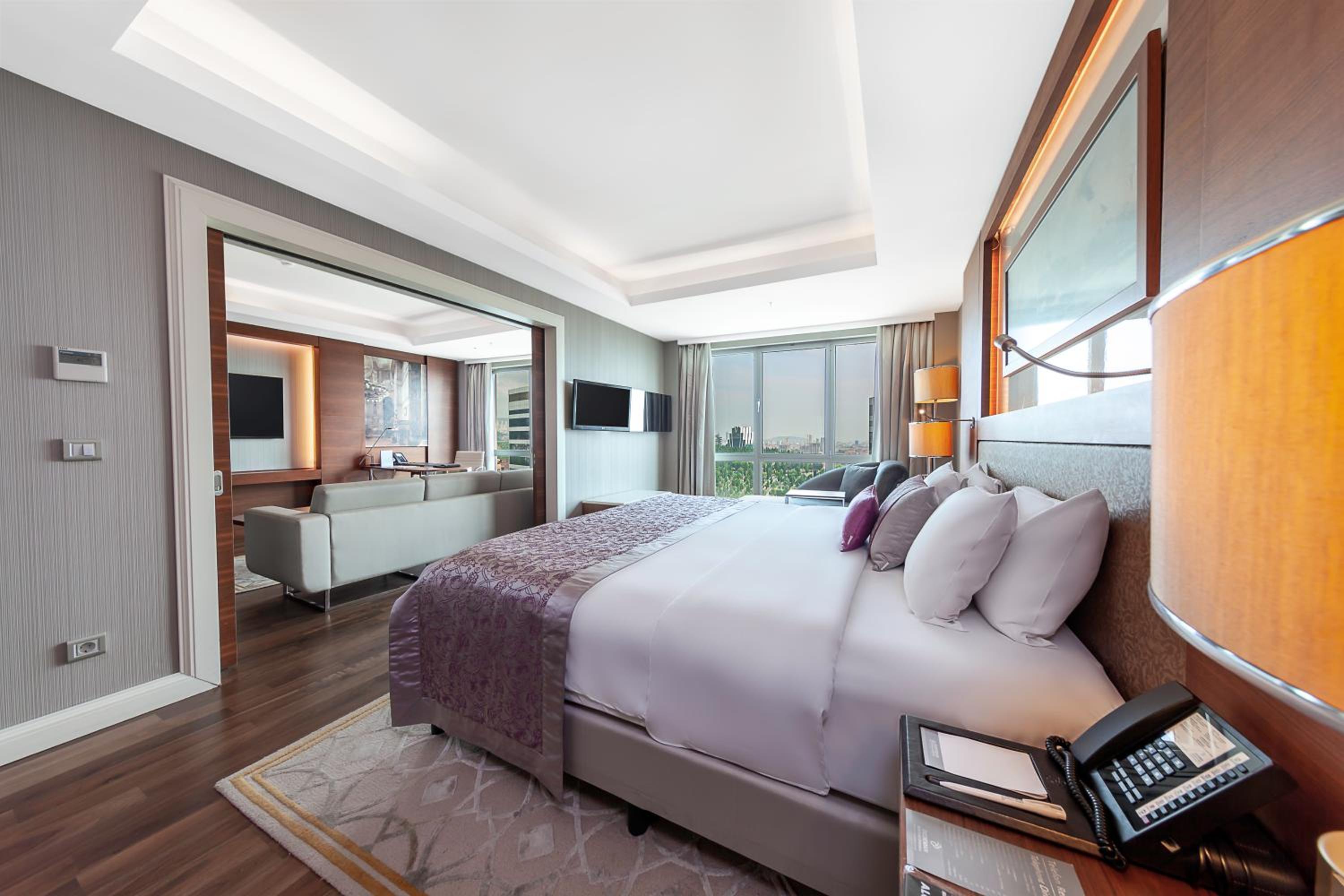 Executive Suite with Prince's Islands View - Lounge Access photo 2