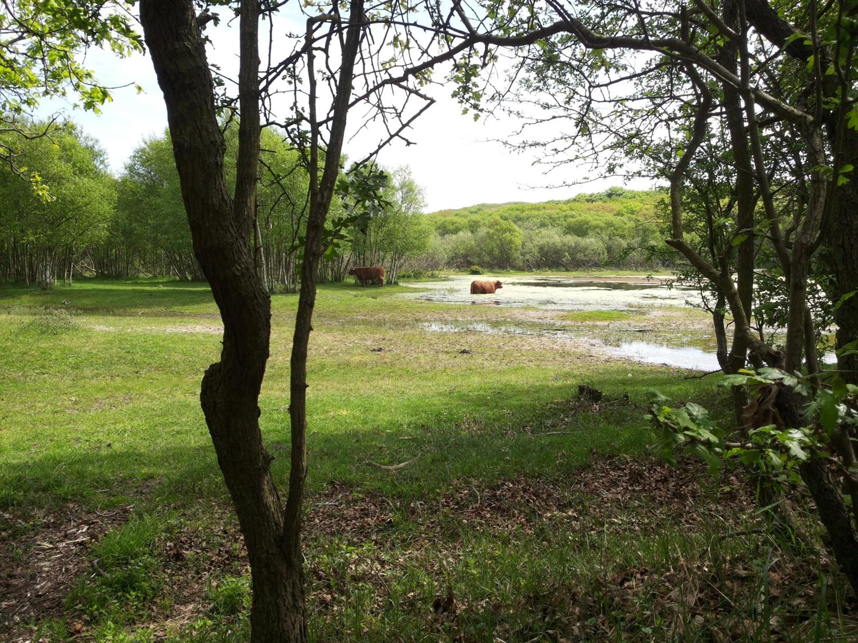 Holiday Home photo 2