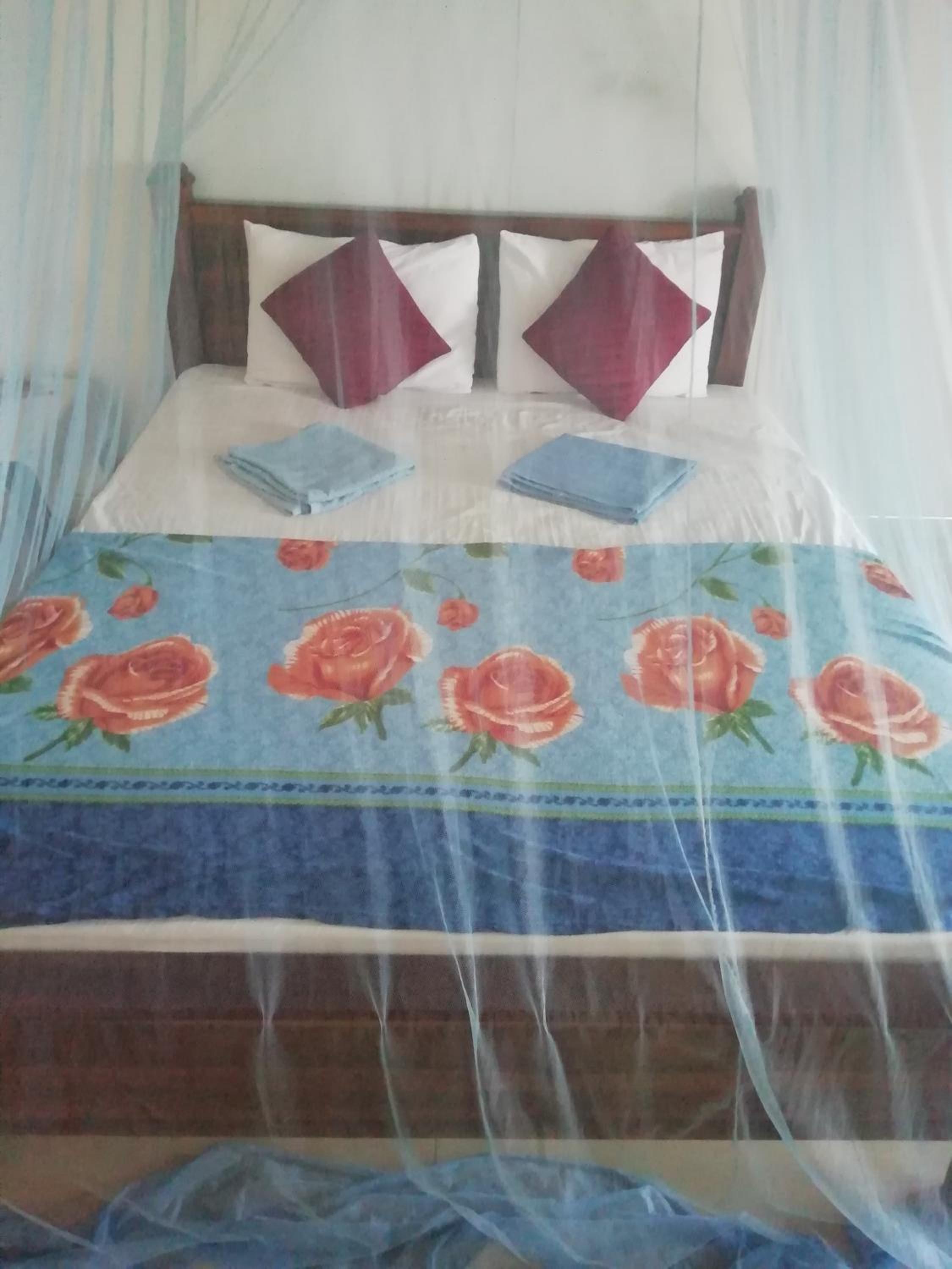 Deluxe Queen Room photo 3