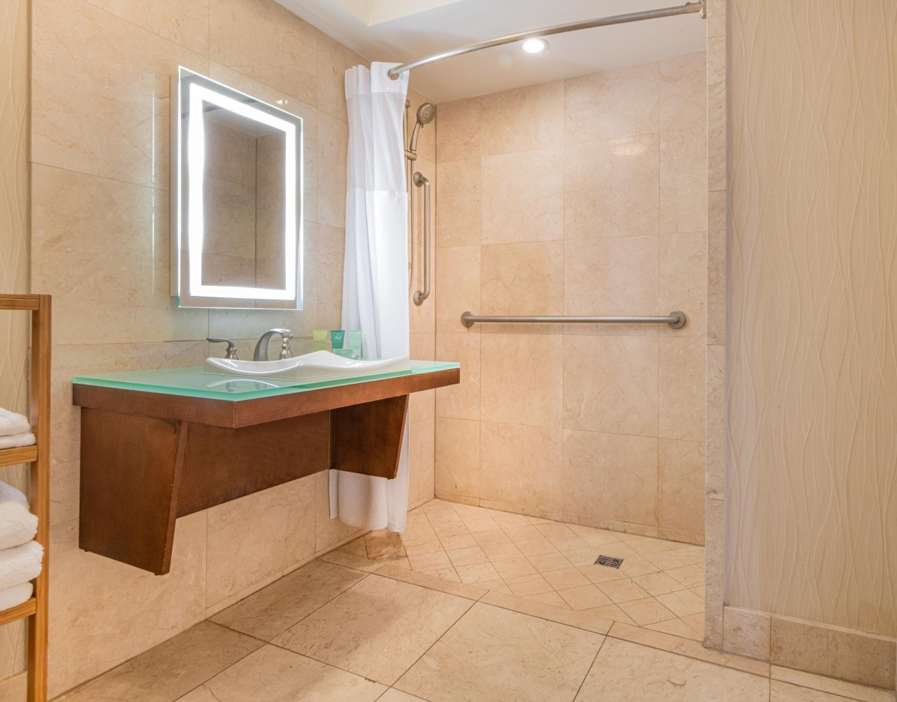 Deluxe View King Roll-In Shower