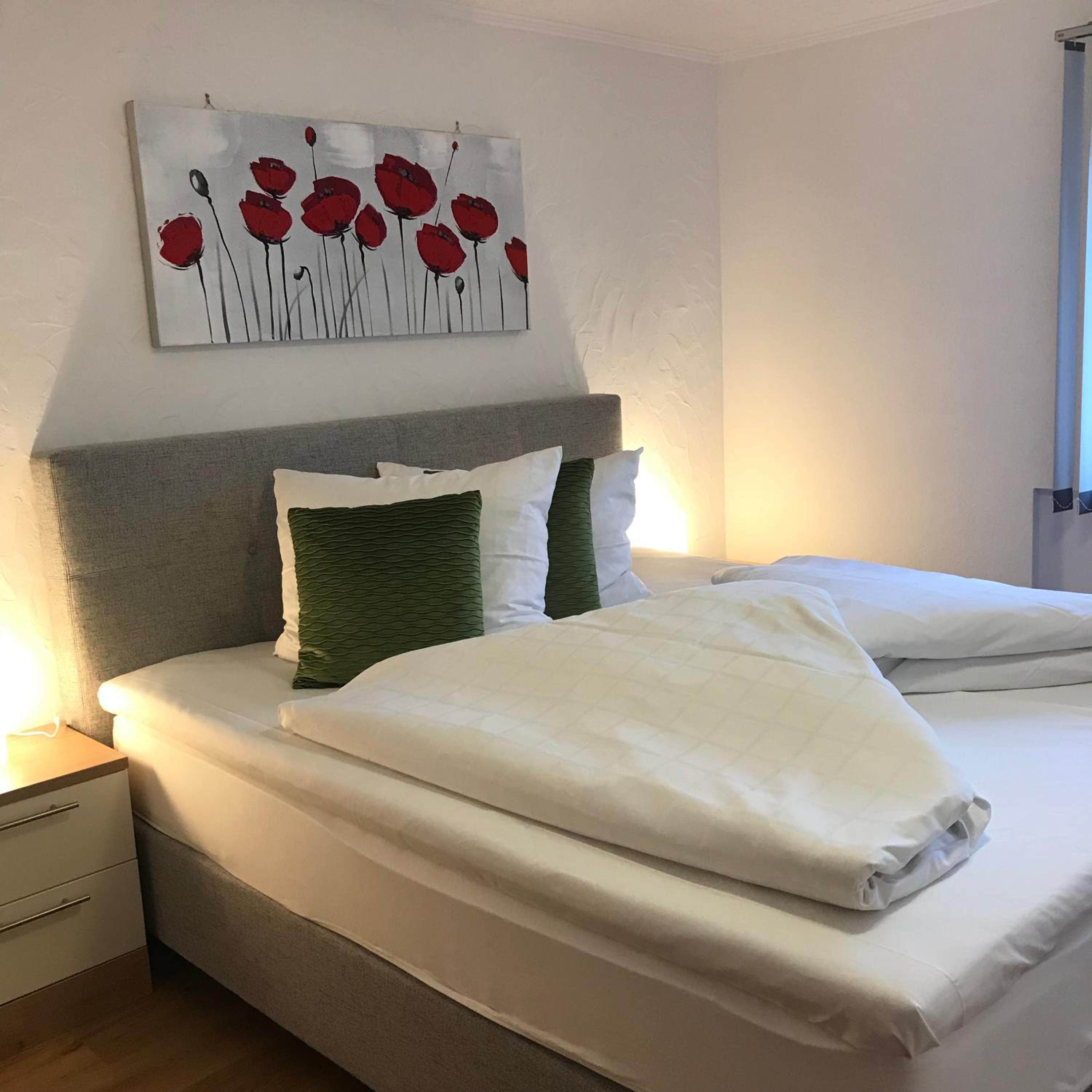 Superior One-Bedroom Apartment with Garden photo 1