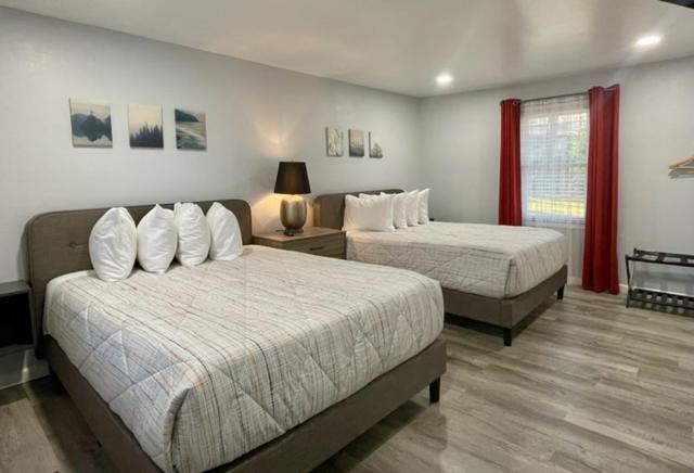 Deluxe Queen Suite - Photo 5