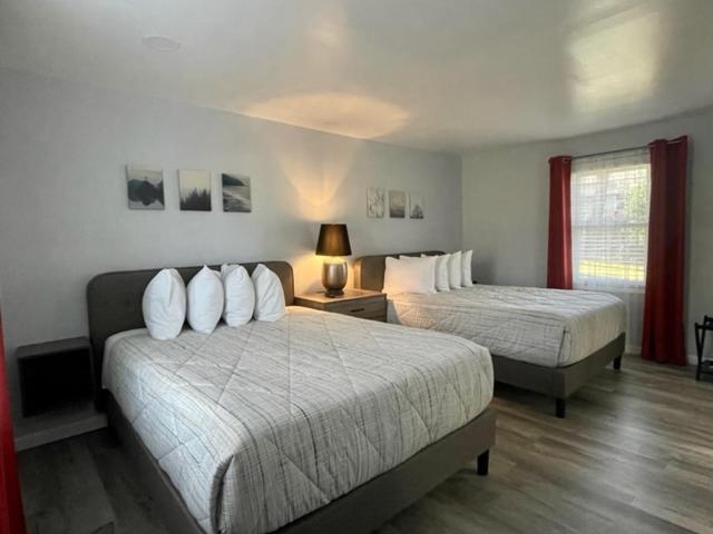 Deluxe Queen Suite - Photo 9