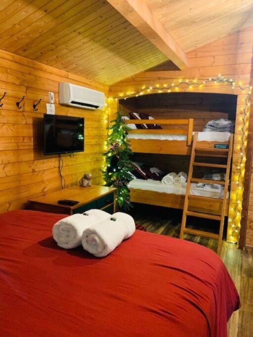 One-Bedroom House - Photo 20