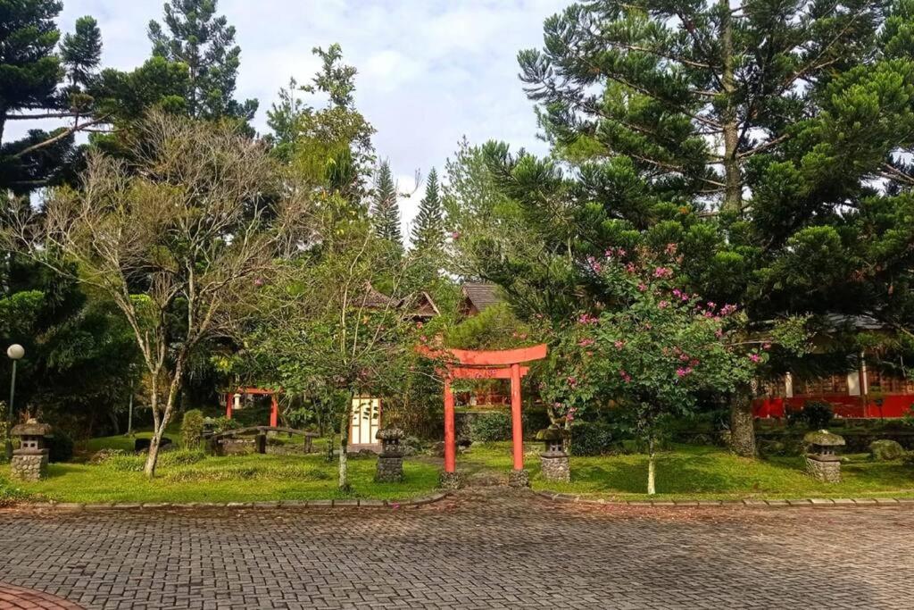 Villa photo 3