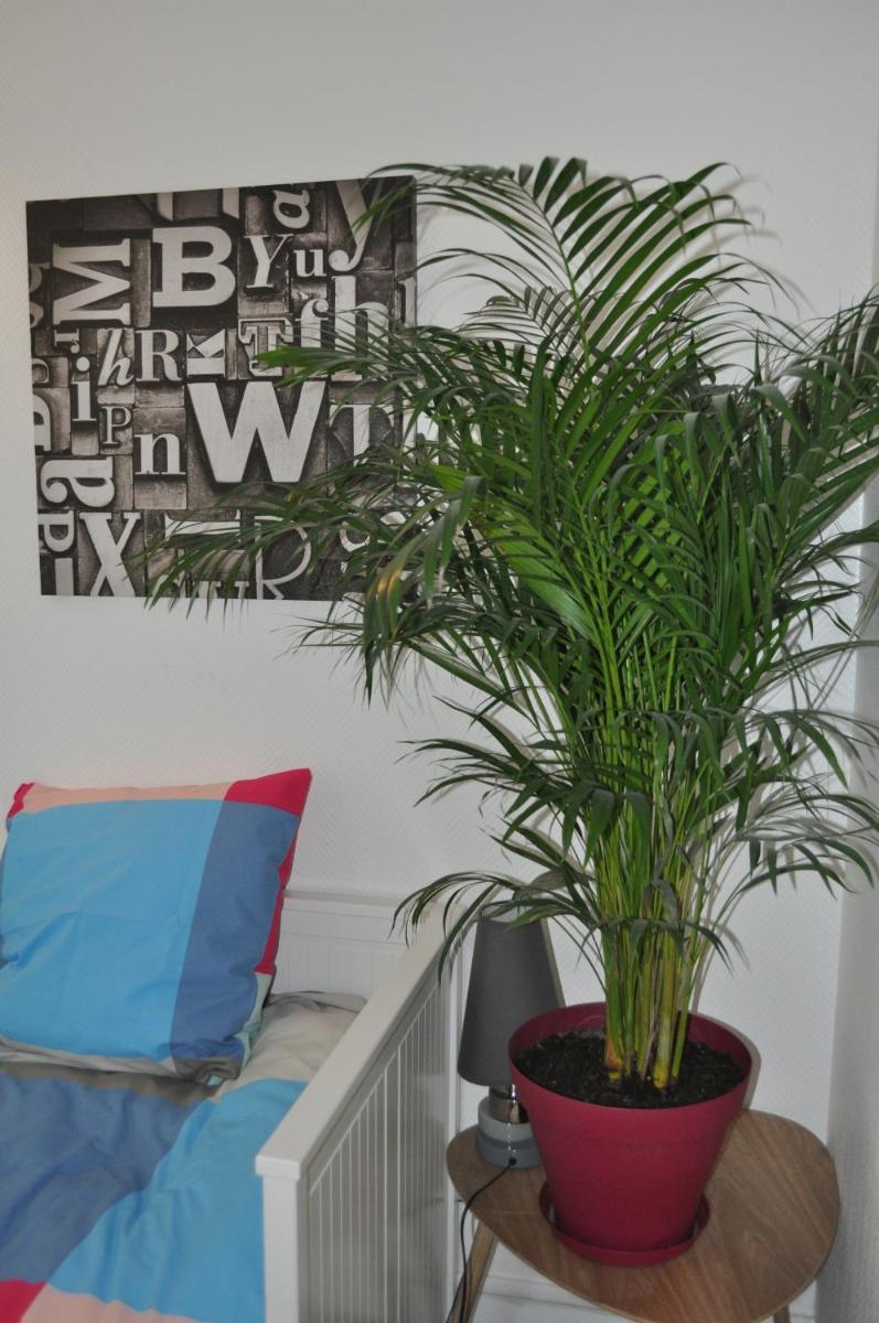 Apartment photo 3