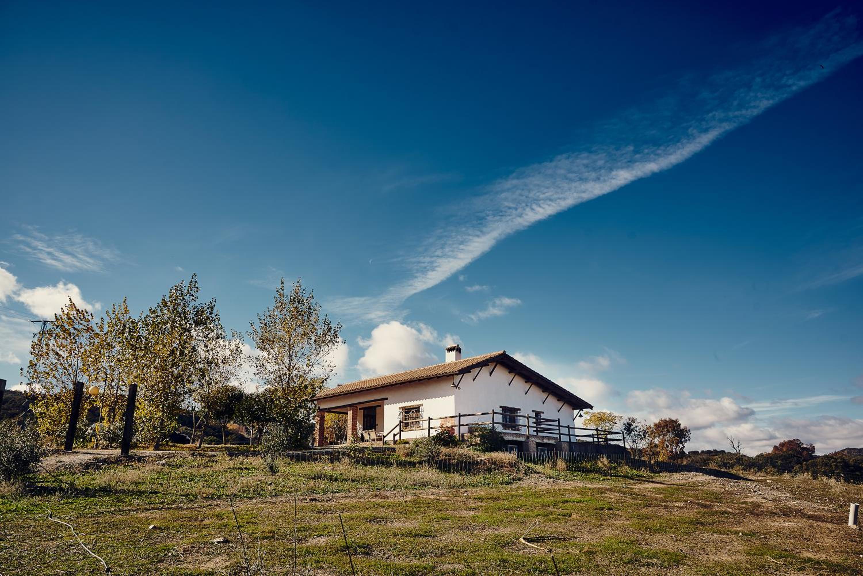 Three-Bedroom House photo 2