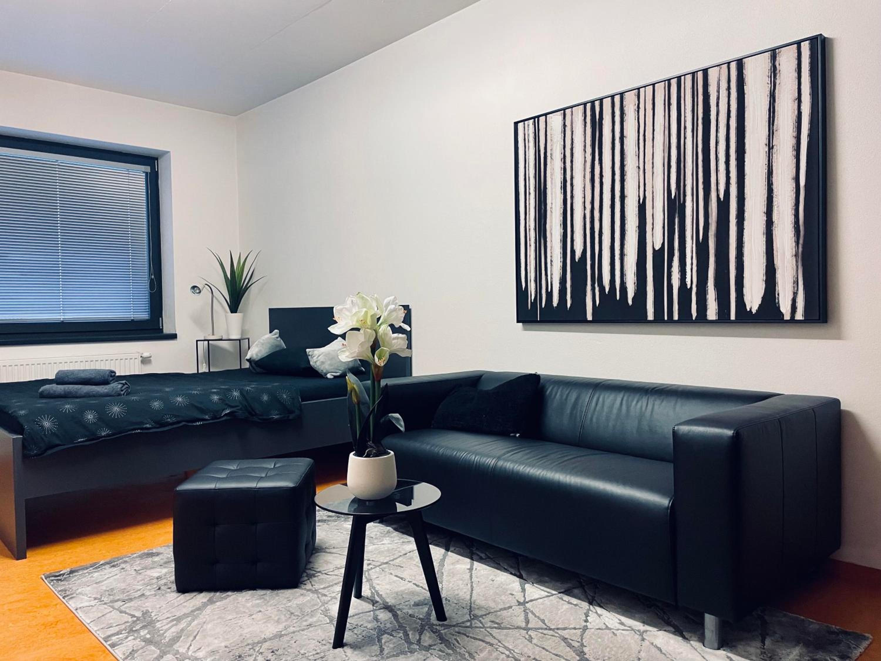 Standard Apartment photo 1