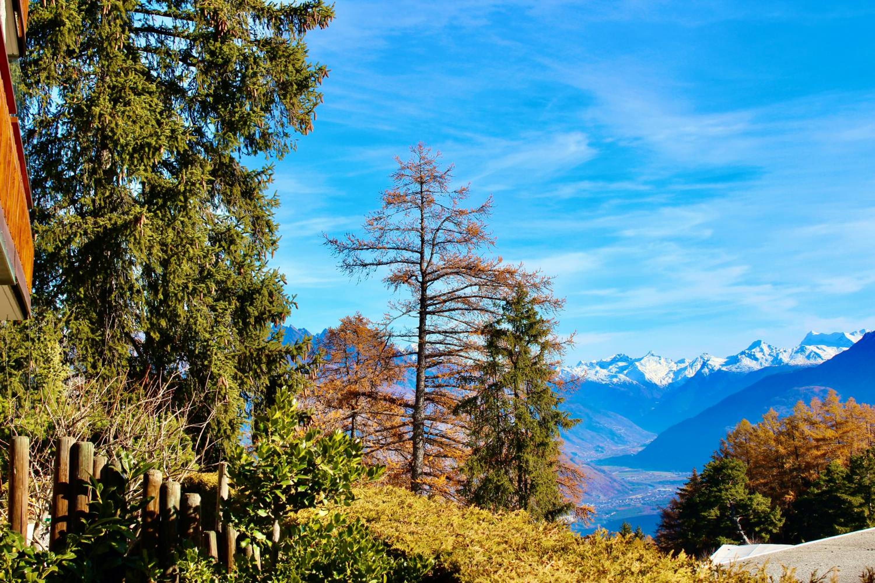 Apartment with Mountain View - Photo 4