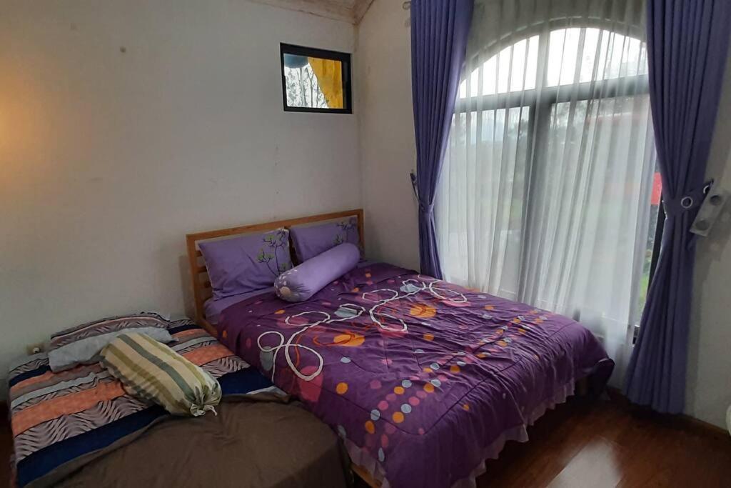 Villa - Photo 7