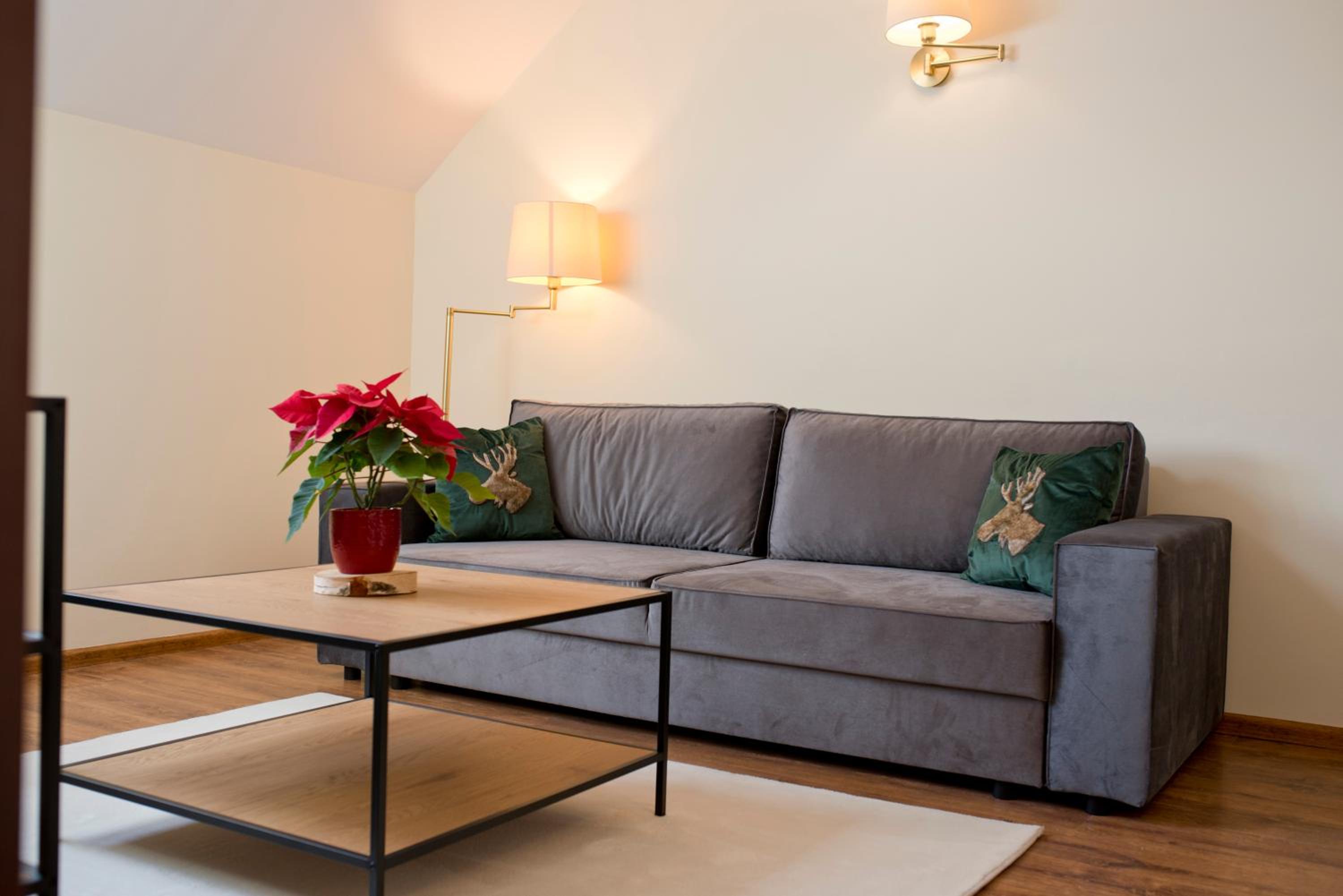 Studio Apartment photo 2